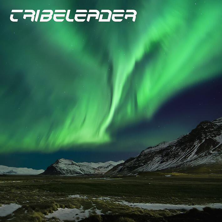 Tribeleader все песни в mp3