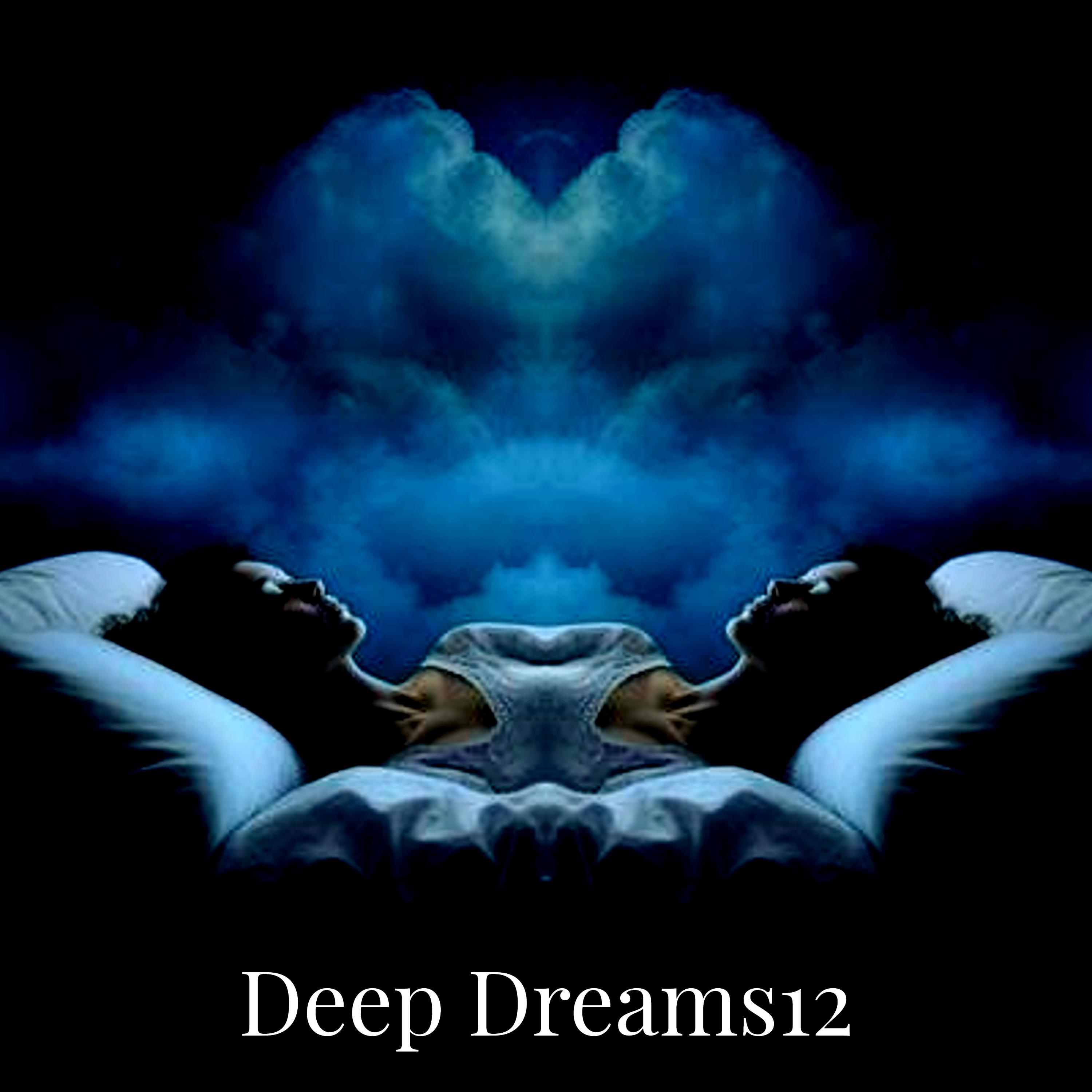 Постер альбома Deep Dreams12