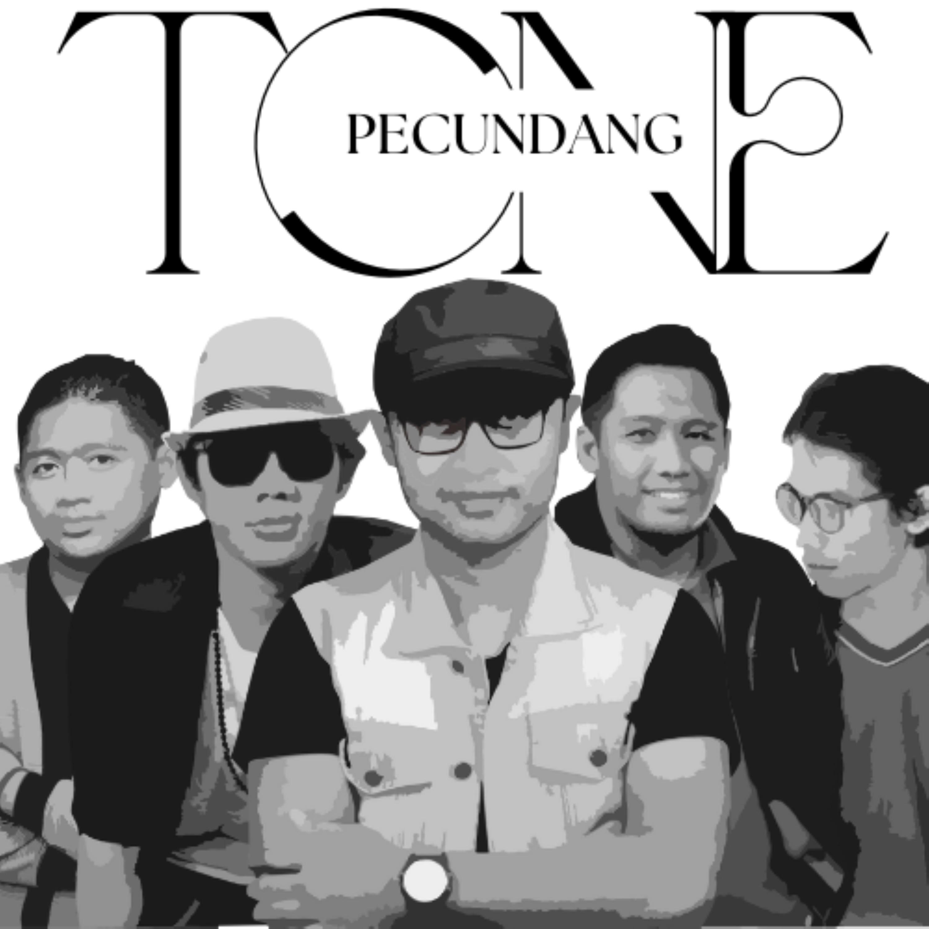 Постер альбома Pecundang