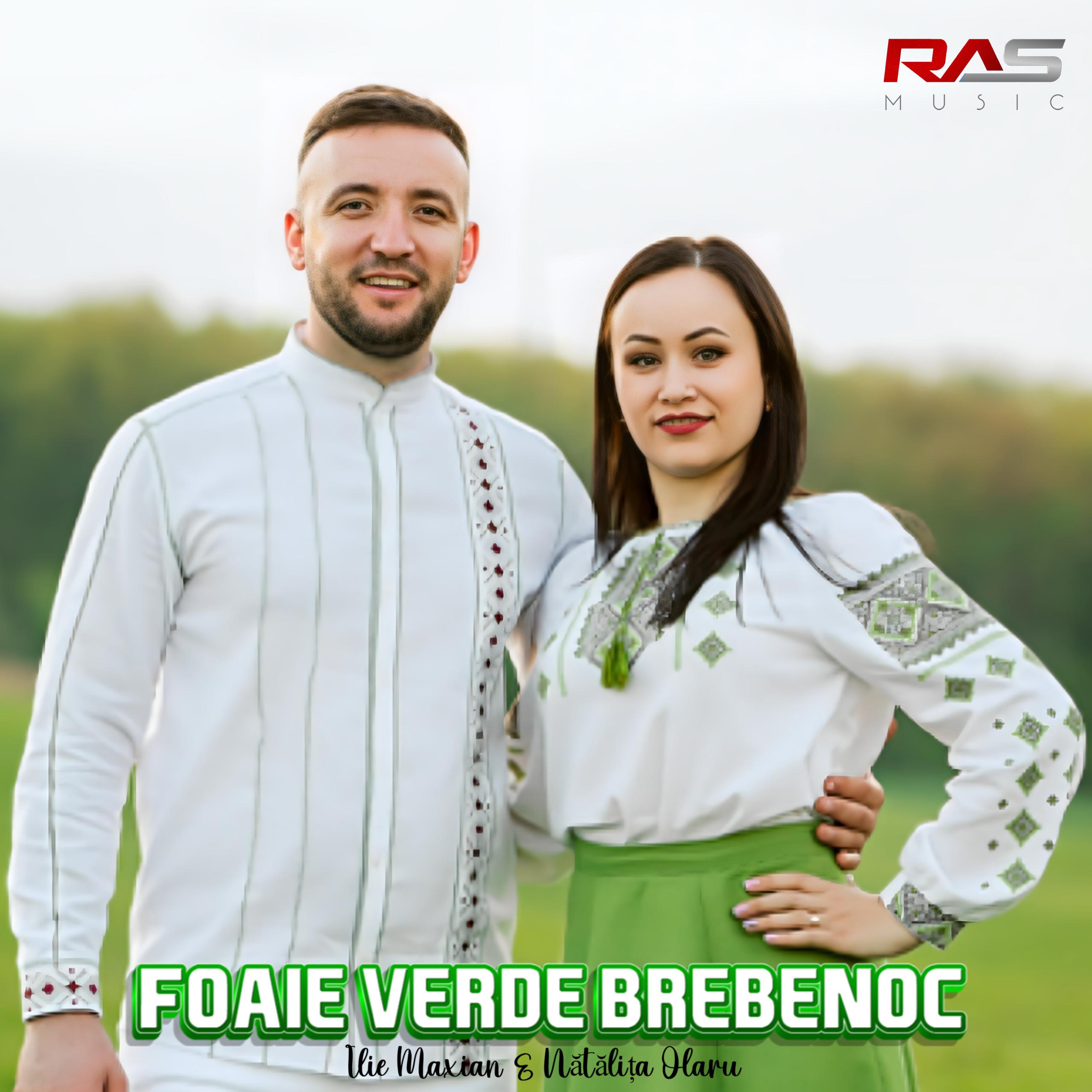 Постер альбома Foaie verde brebenoc