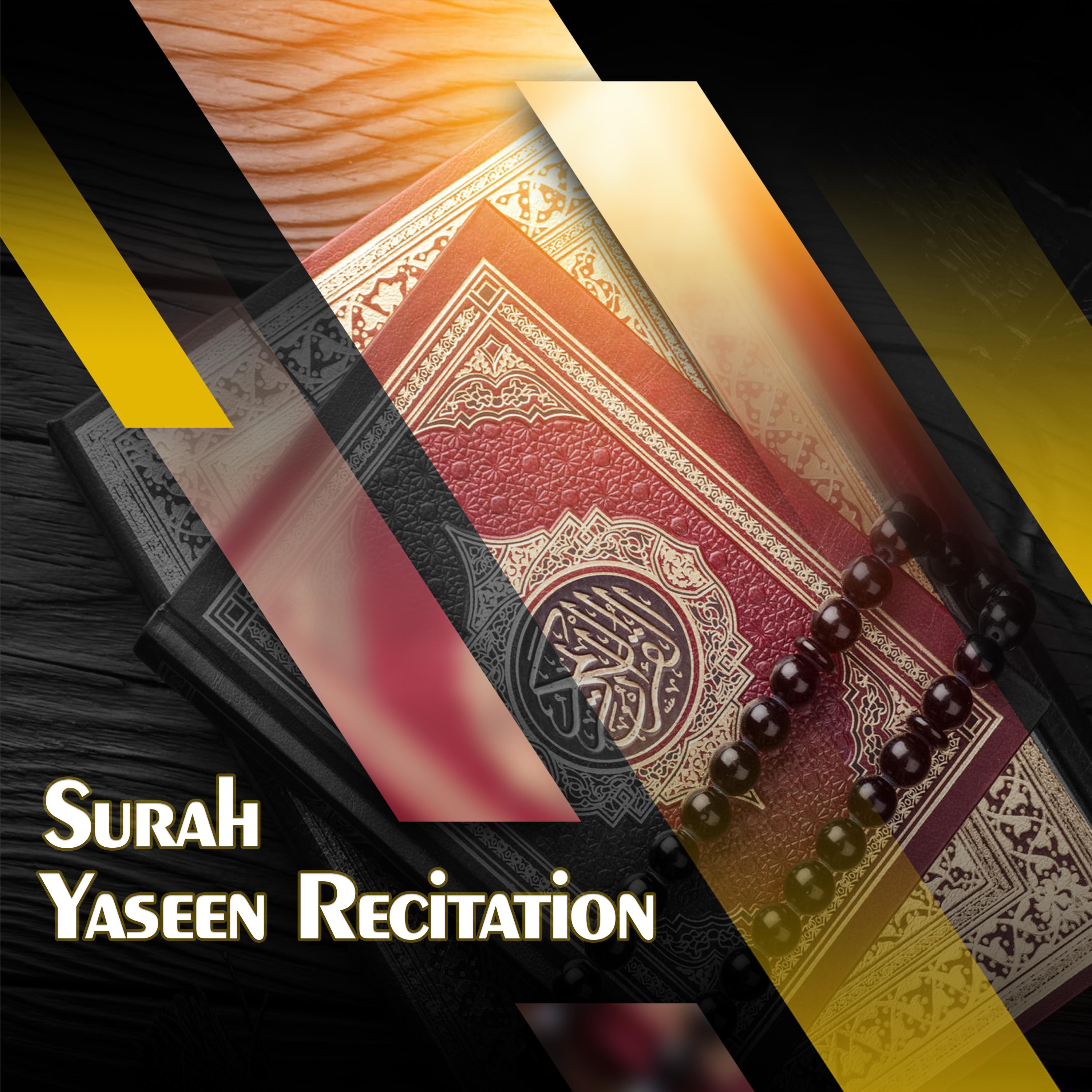 Постер альбома Surah Yaseen Recitation