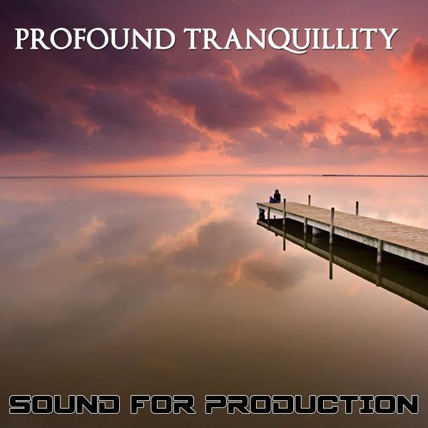 Постер альбома Profound Tranquillity