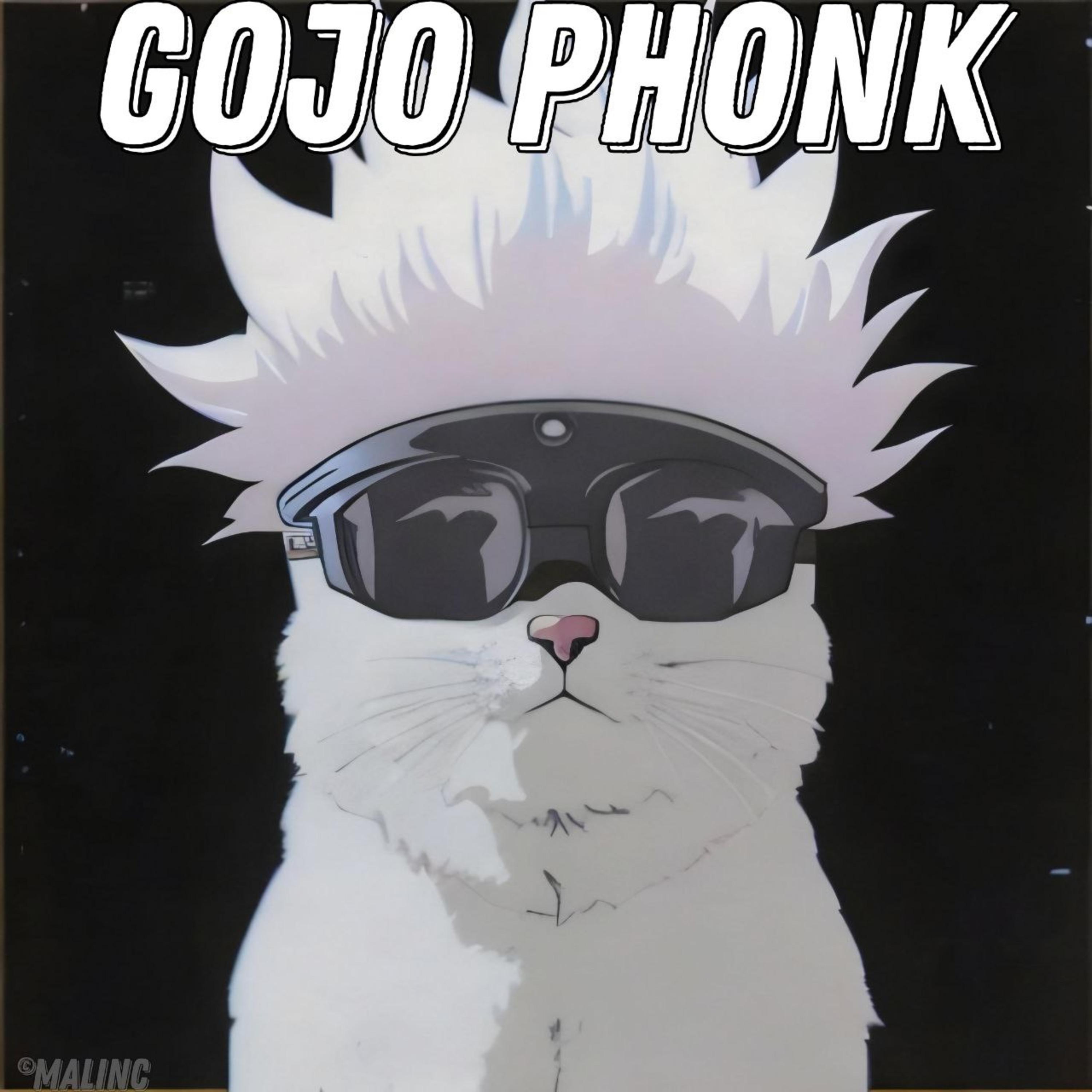 Постер альбома Gojo Phonk