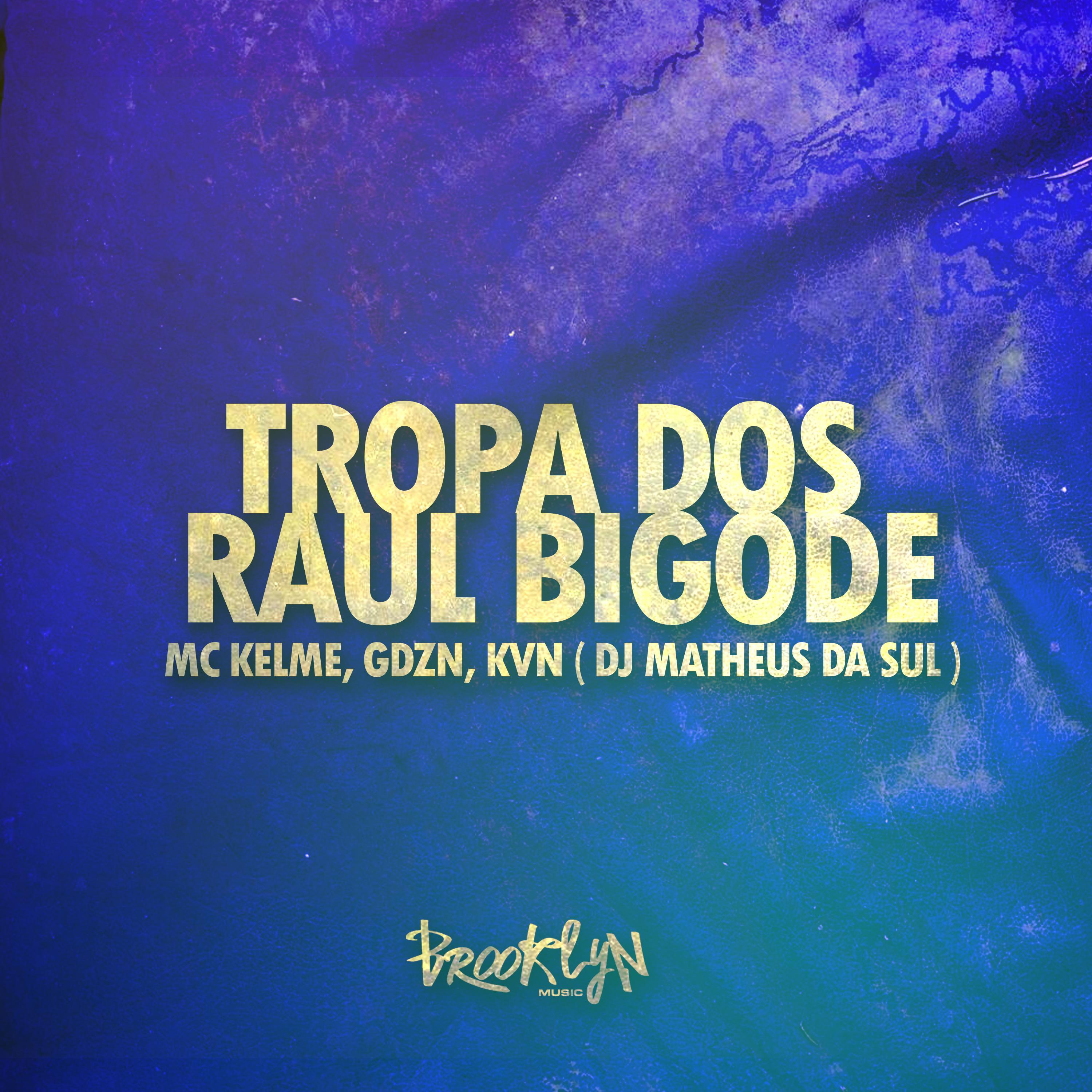 Постер альбома Tropa dos Raul Bigode