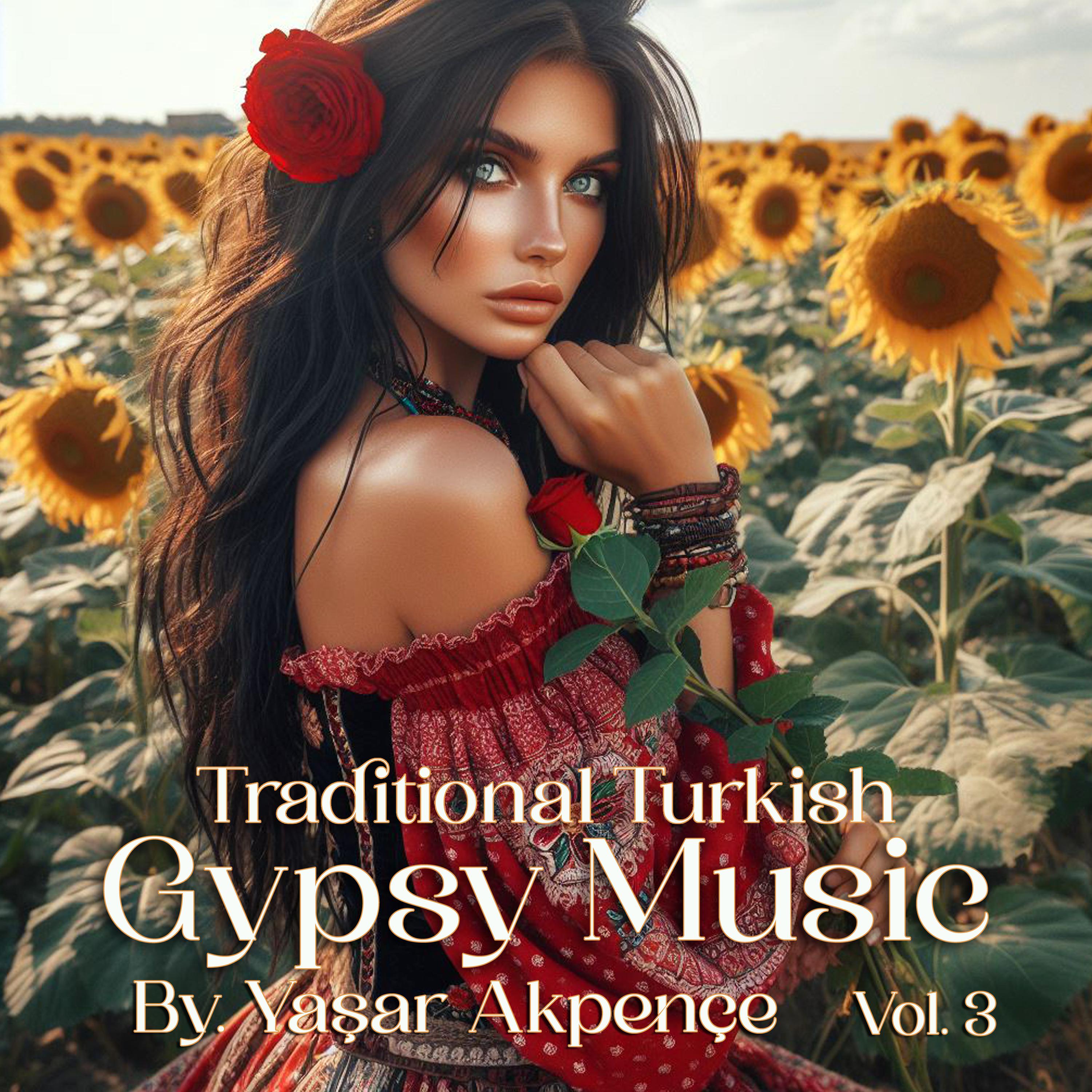Постер альбома Traditional Turkish Gypsy Music, Vol. 3