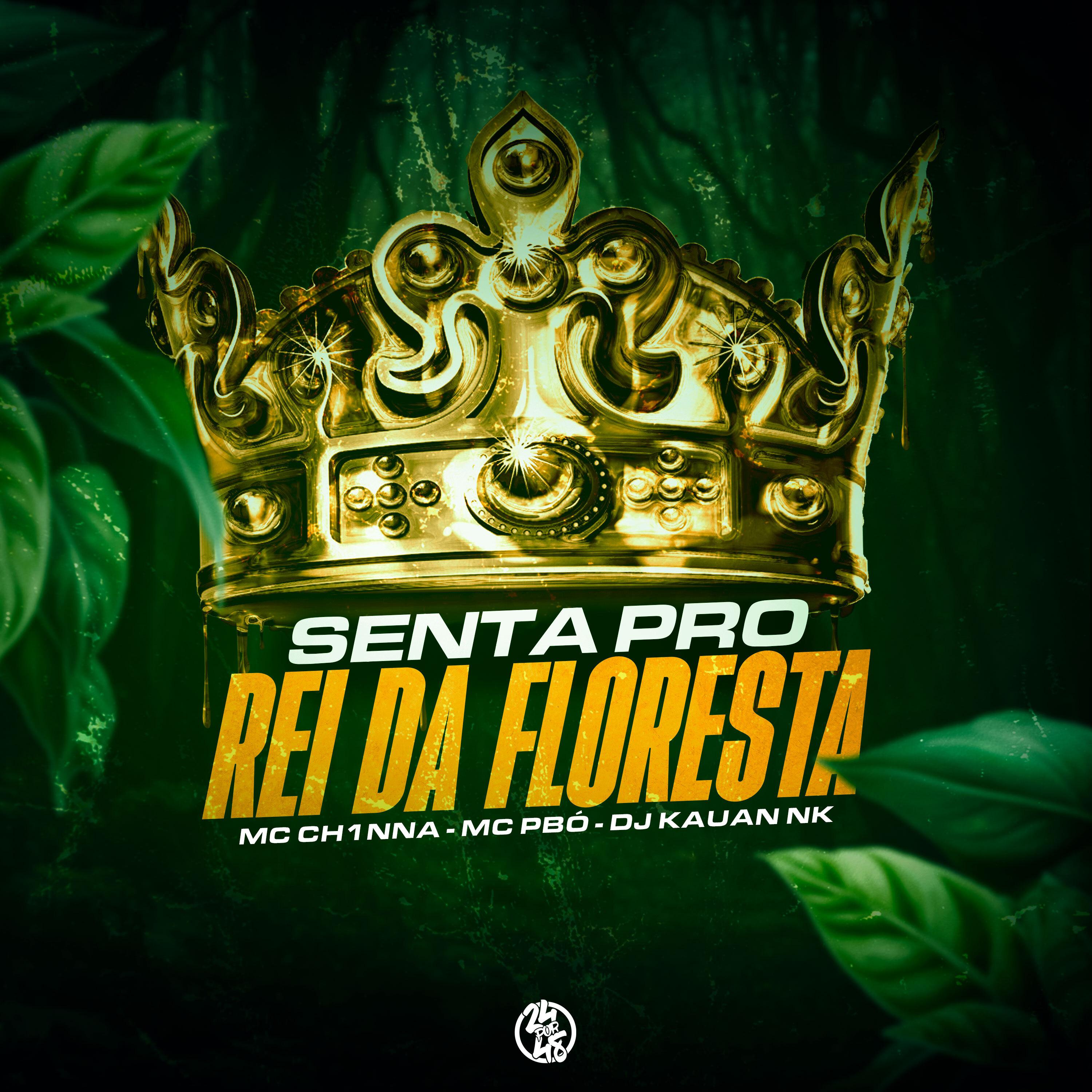 Постер альбома Senta pro Rei da Floresta
