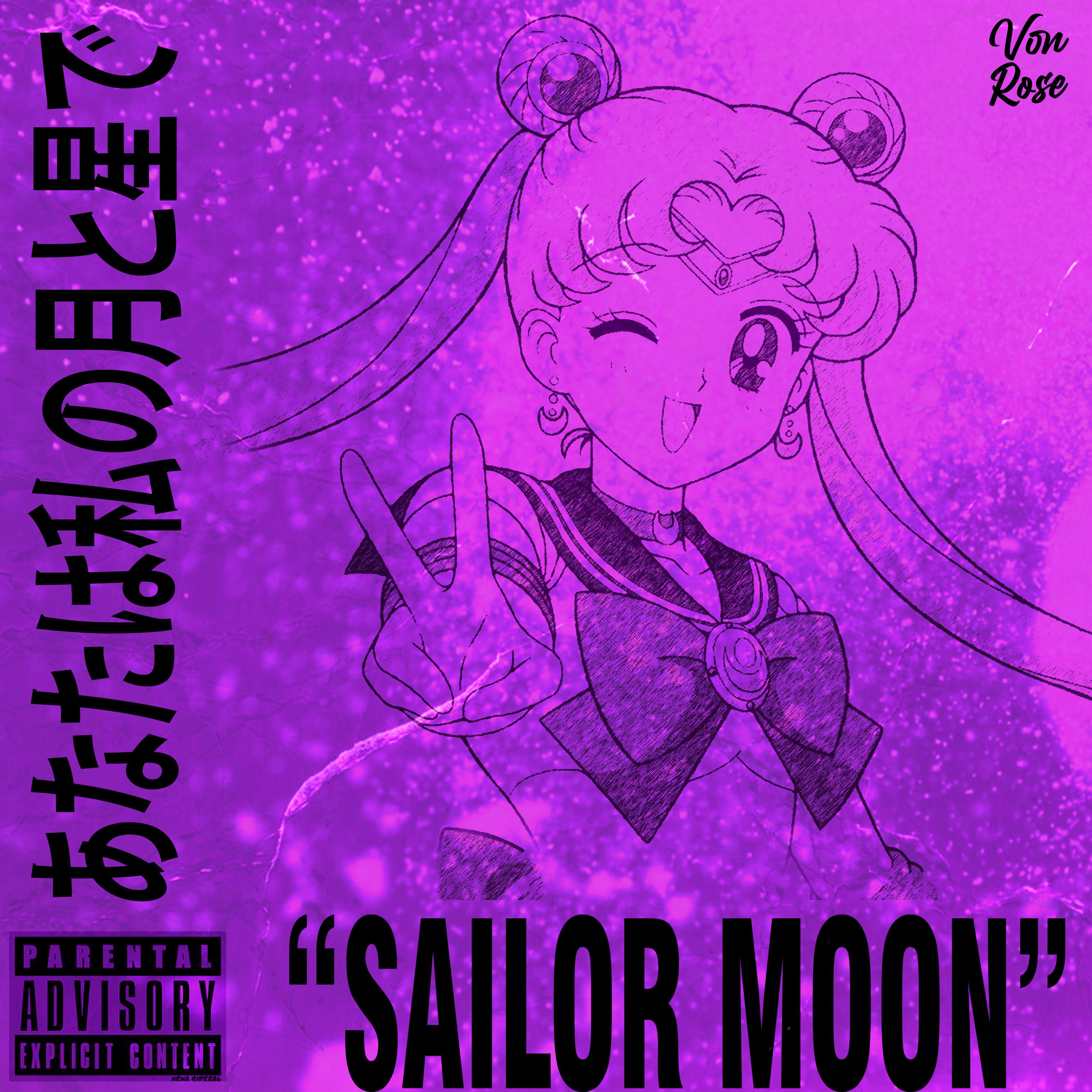 Постер альбома Sailor Moon 2.0