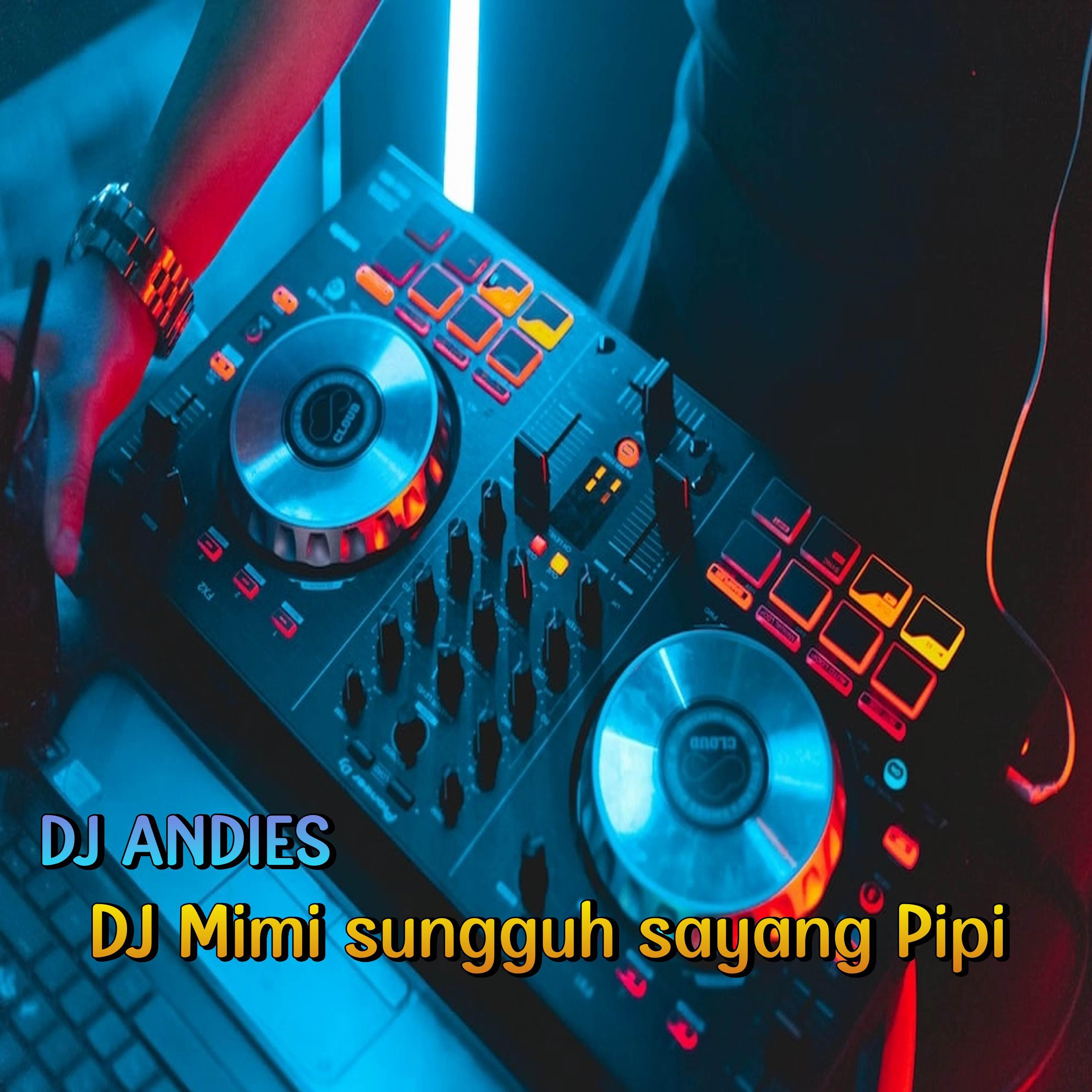 Постер альбома DJ Mi Mi Sungguh Sayang Pi Pi