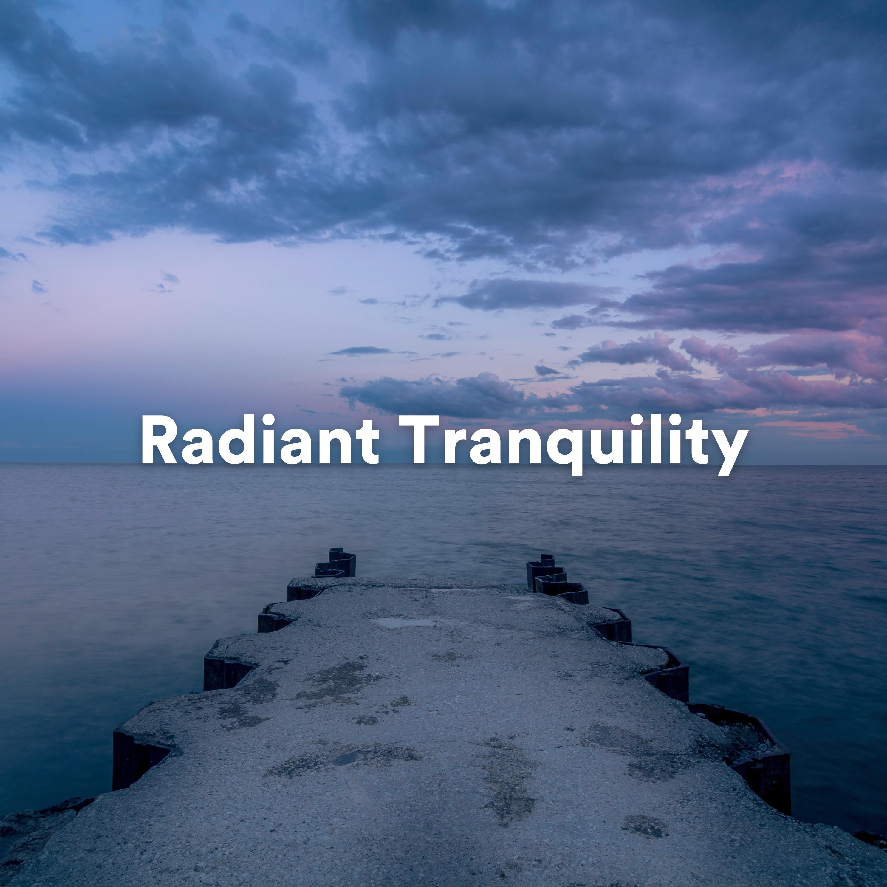 Постер альбома Radiant Tranquility