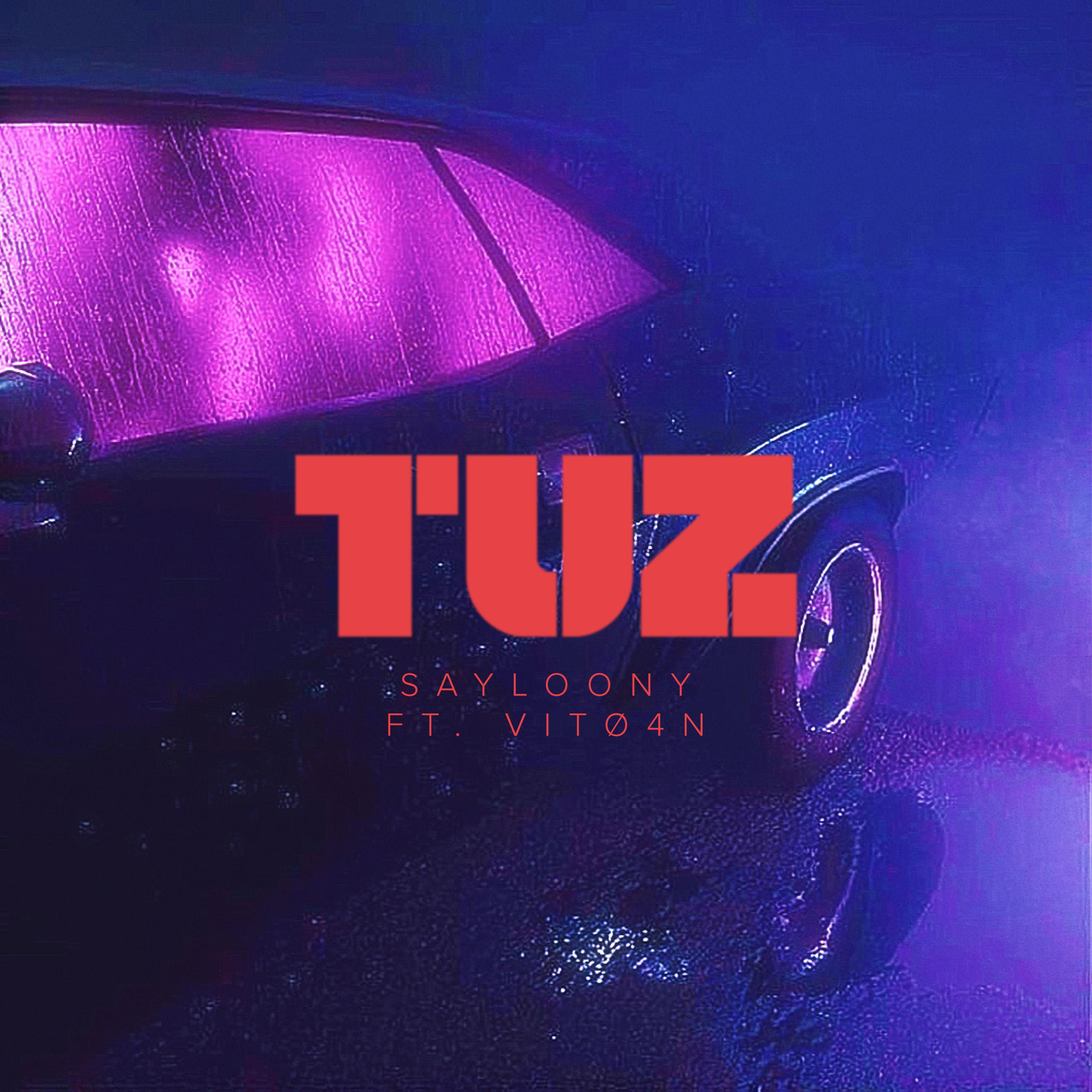 Постер альбома Tuz