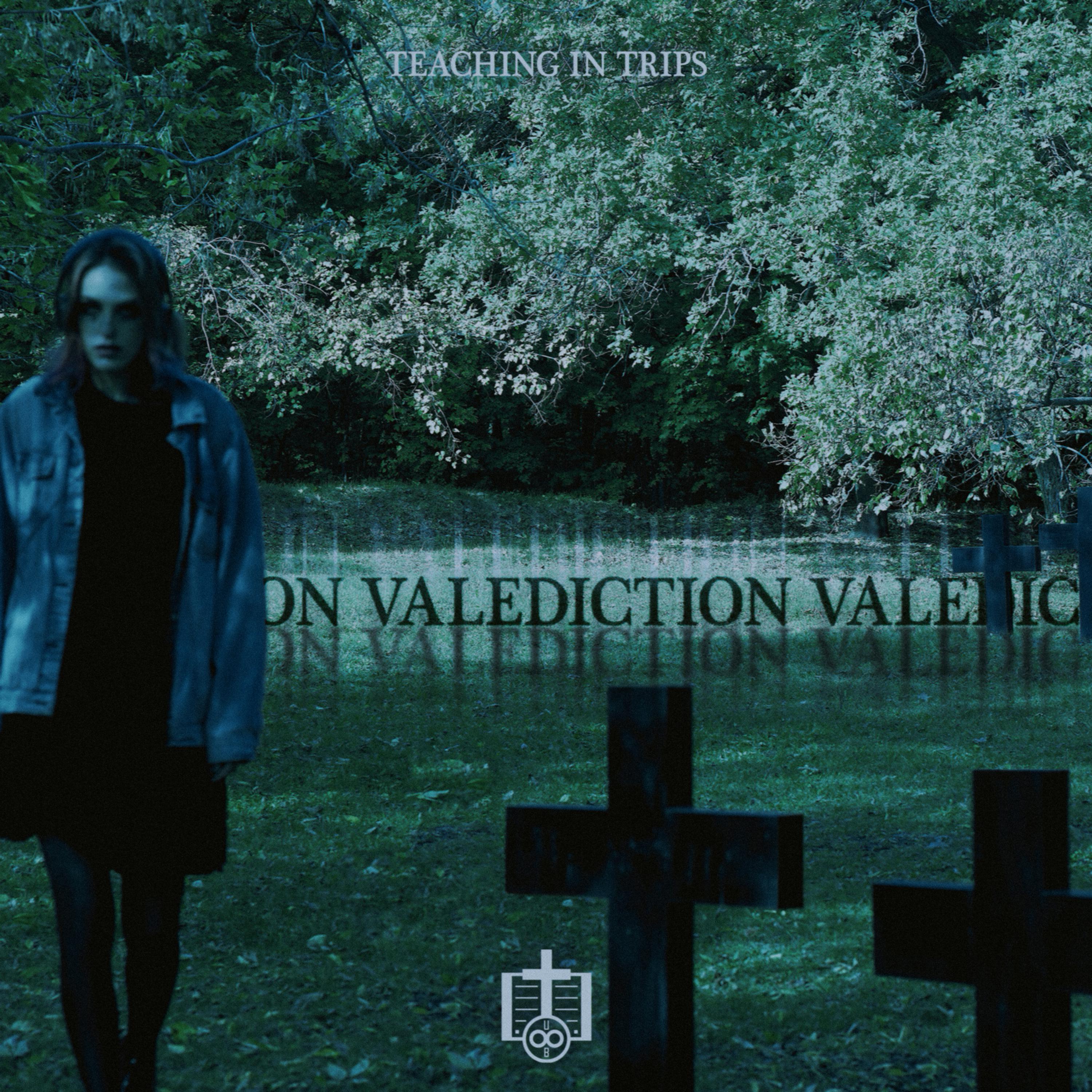 Постер альбома Valediction