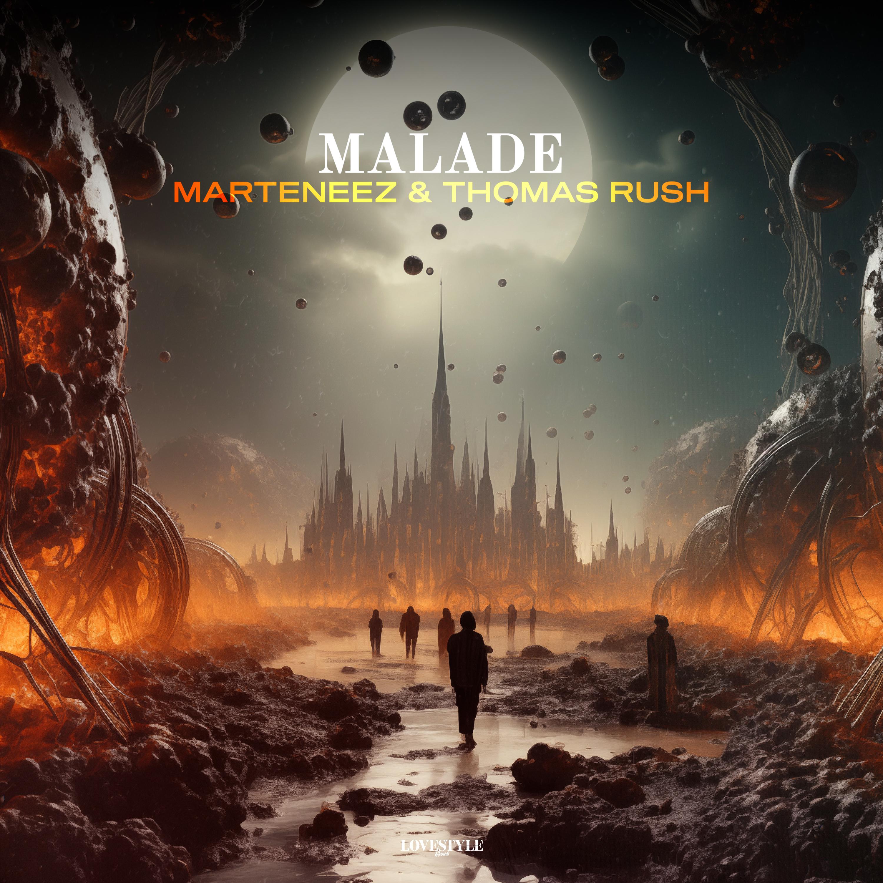 Постер альбома Malade