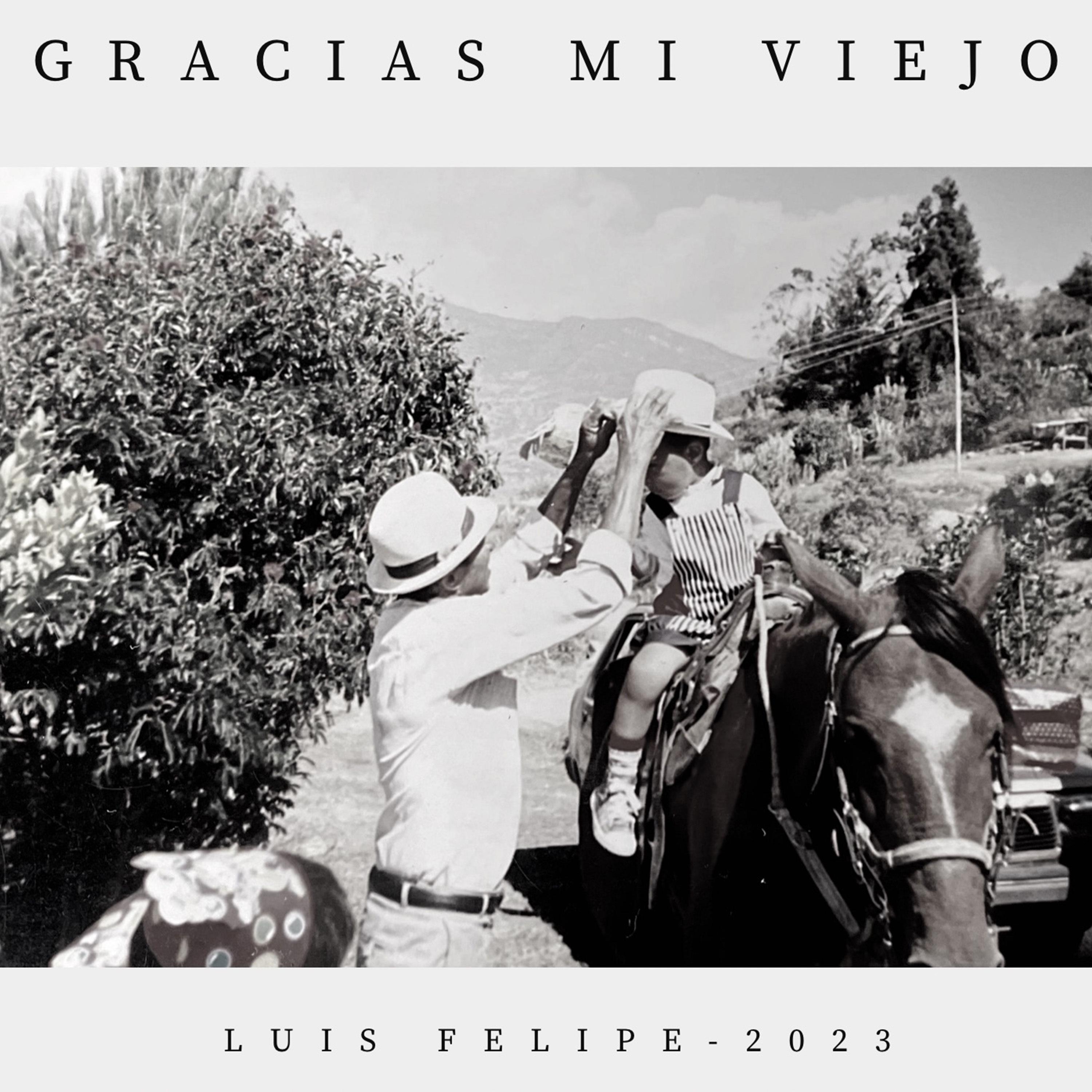 Постер альбома Gracias Mi Viejo