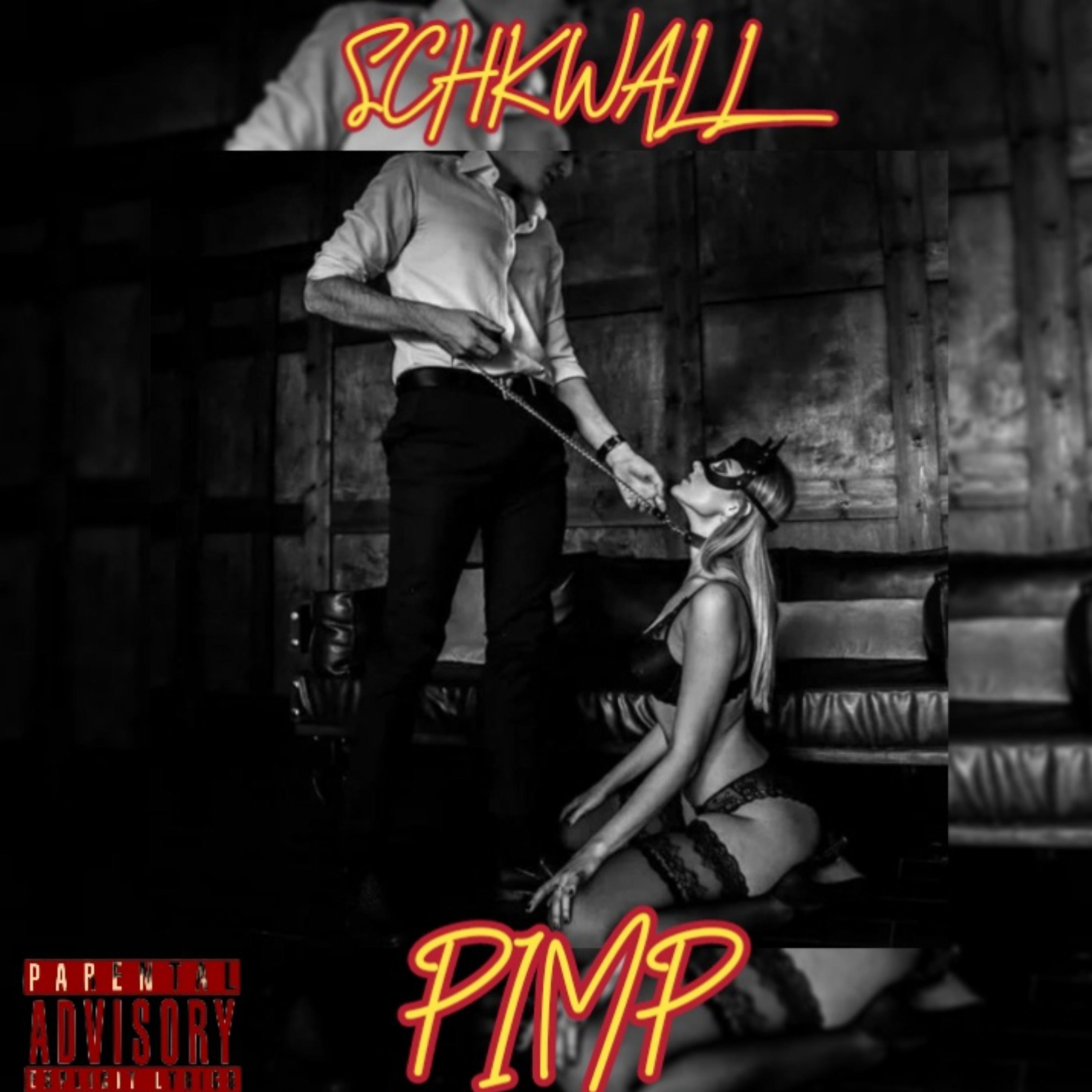 Постер альбома Pimp