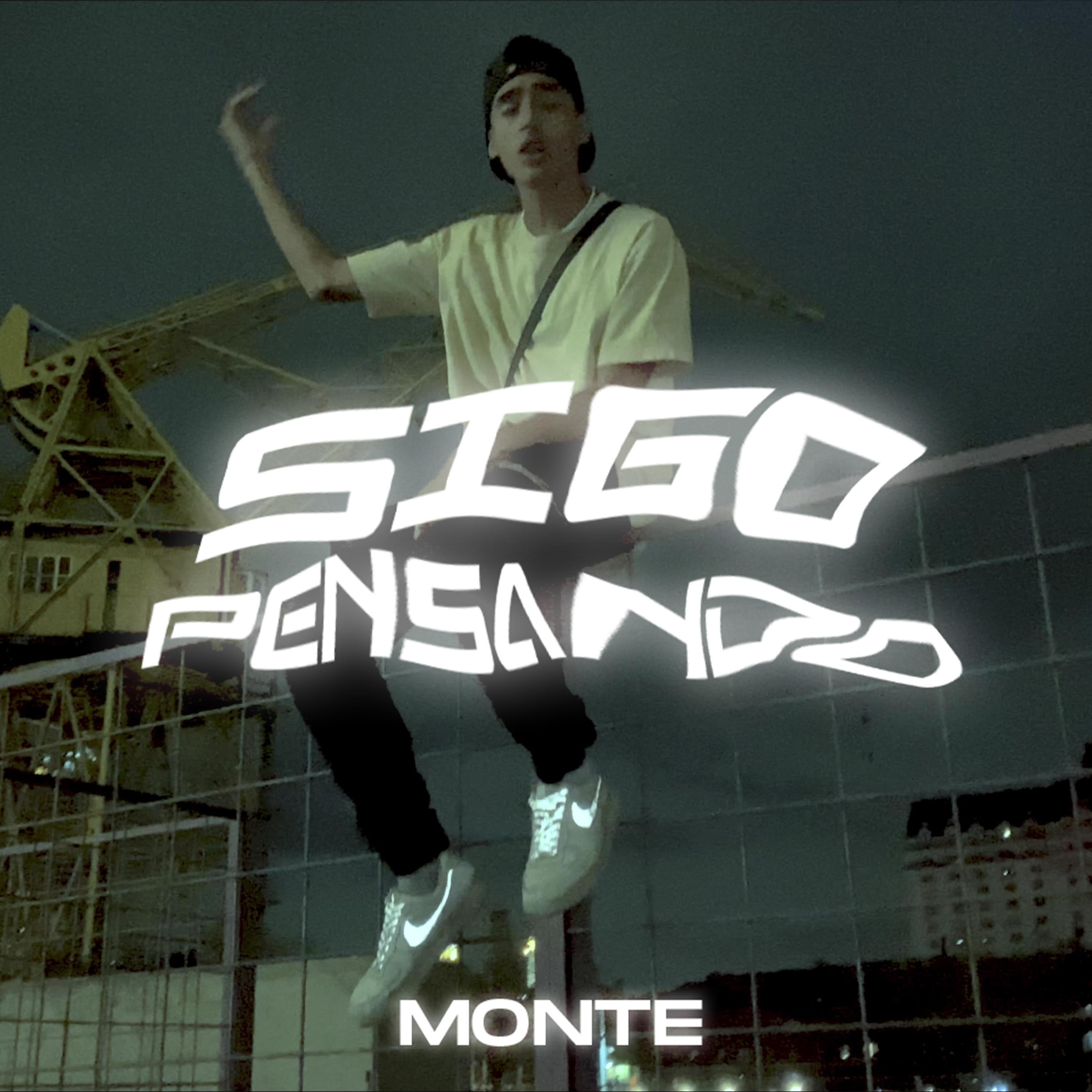 Постер альбома Sigo Pensando