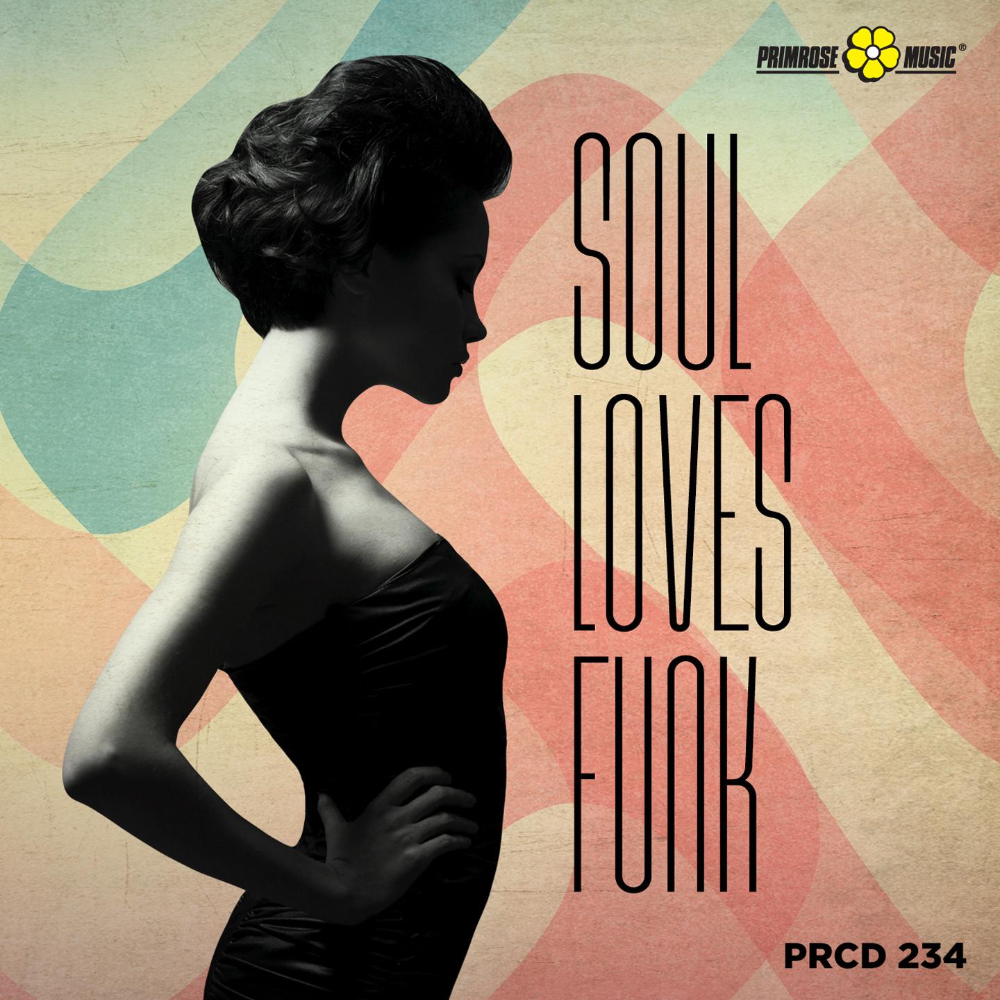 Постер альбома Soul Loves Funk