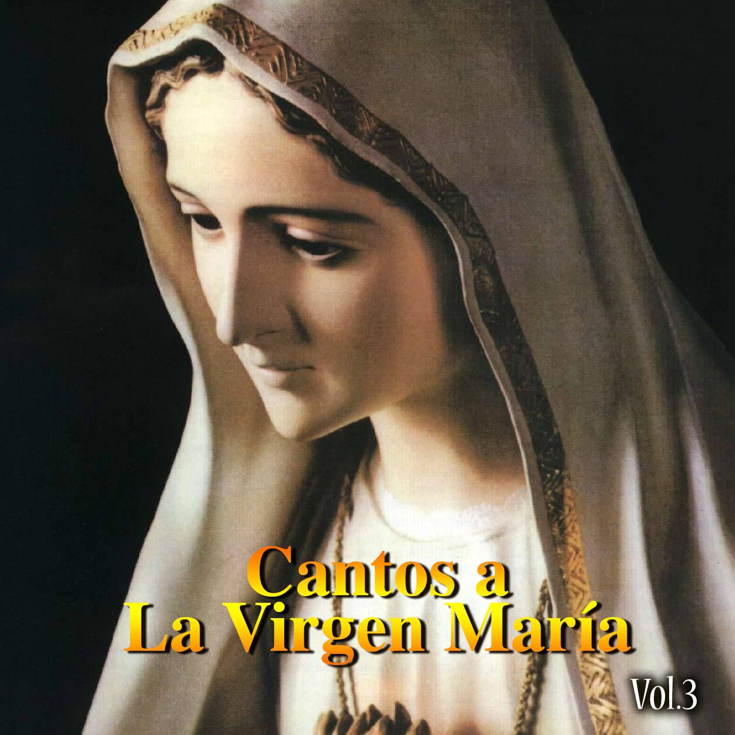 Постер альбома Cantos a la Virgen María, Vol. 3