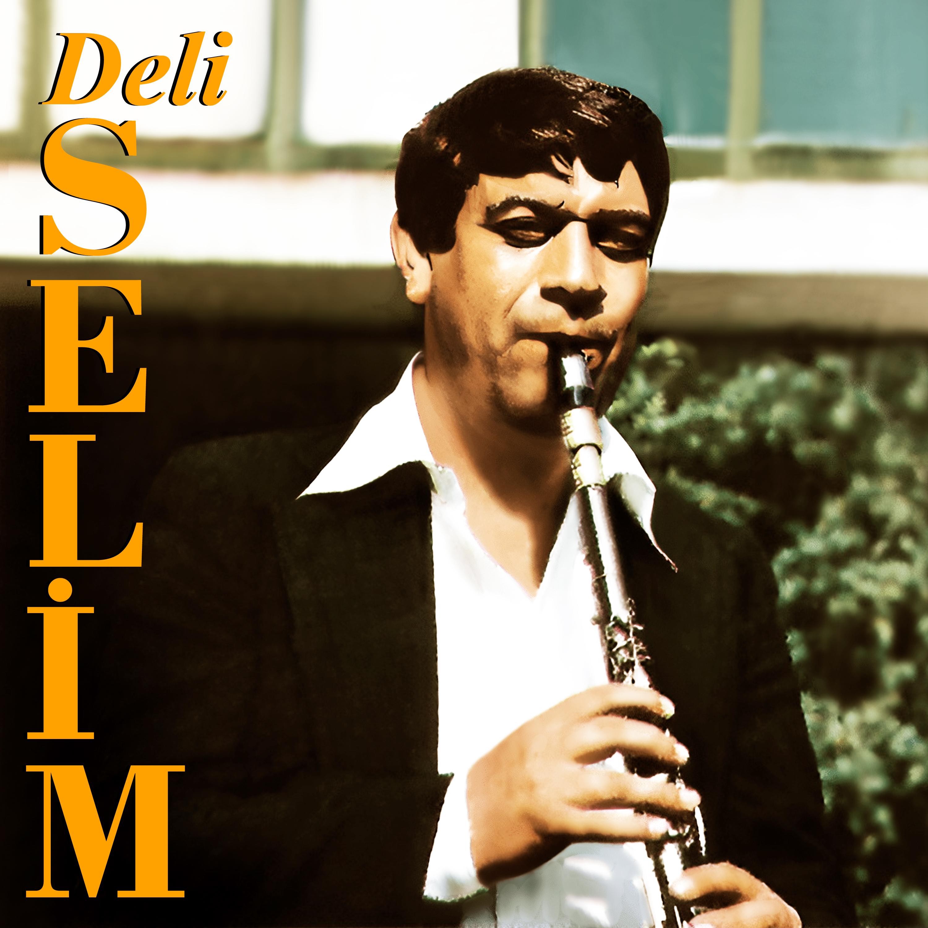 Постер альбома Deli Selim