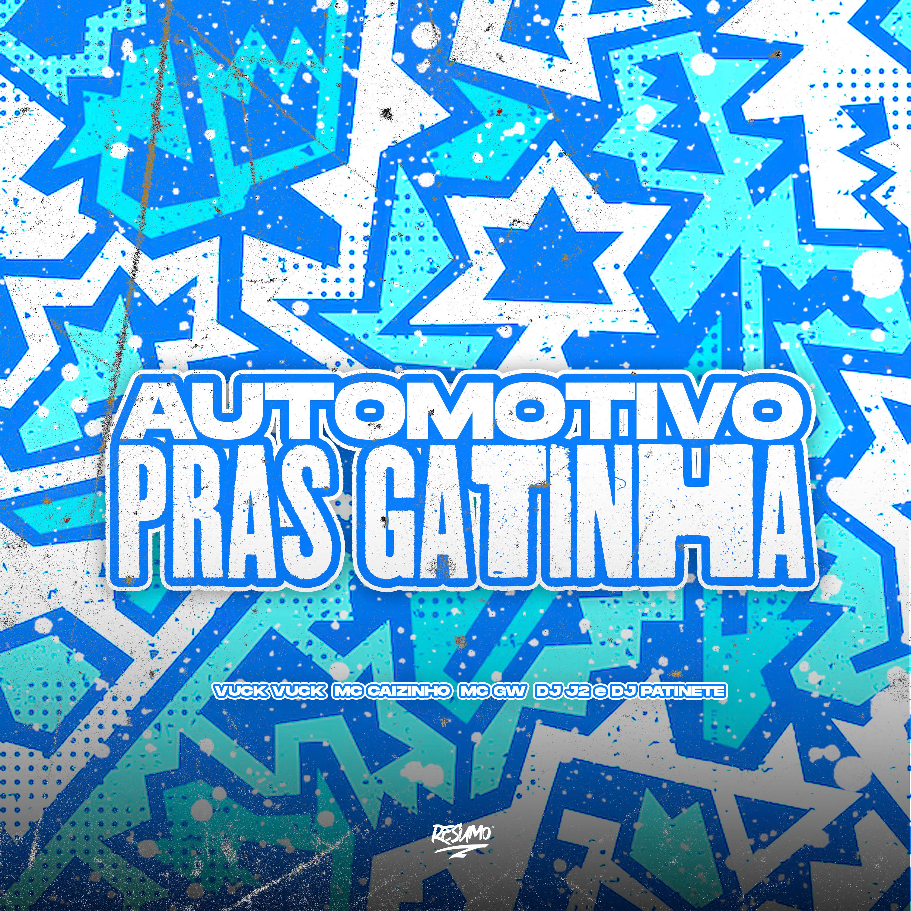 Постер альбома Automotivo Pras Gatinha