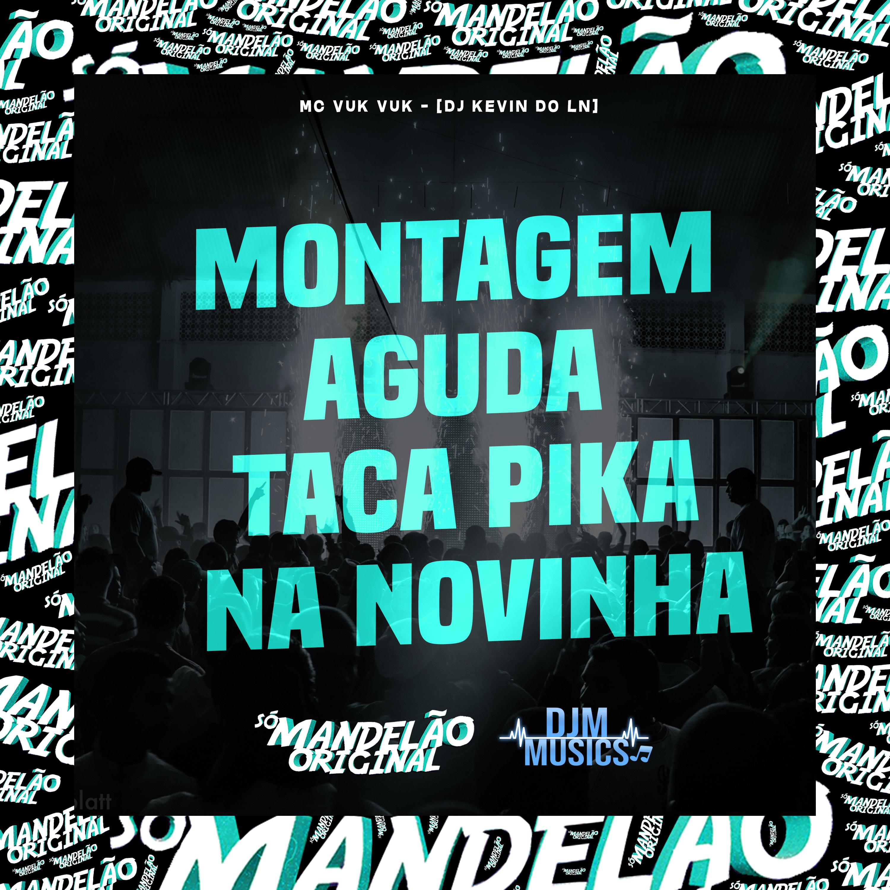 Постер альбома Montagem Aguda Taca Pika na Novinha