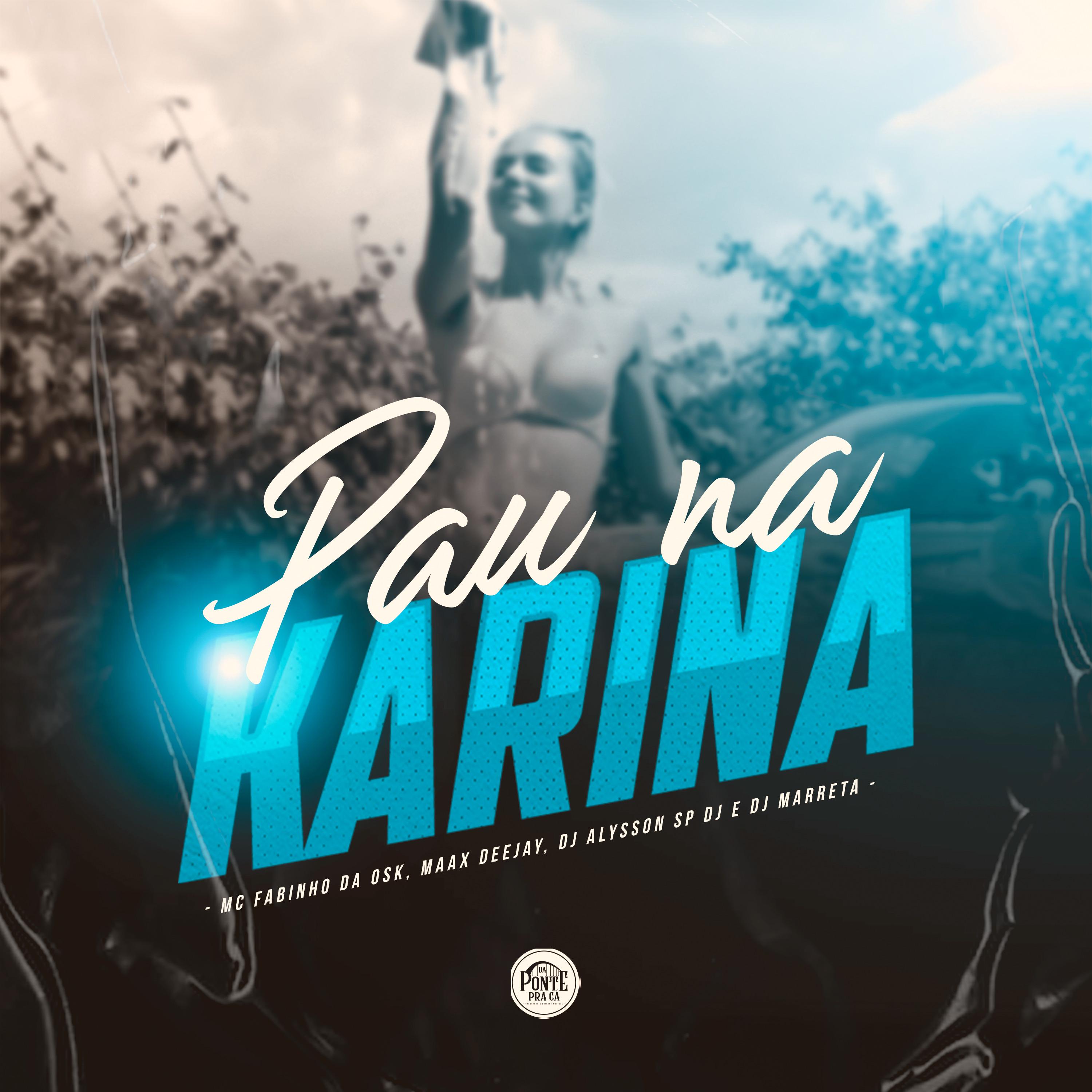 Постер альбома Pau na Karina