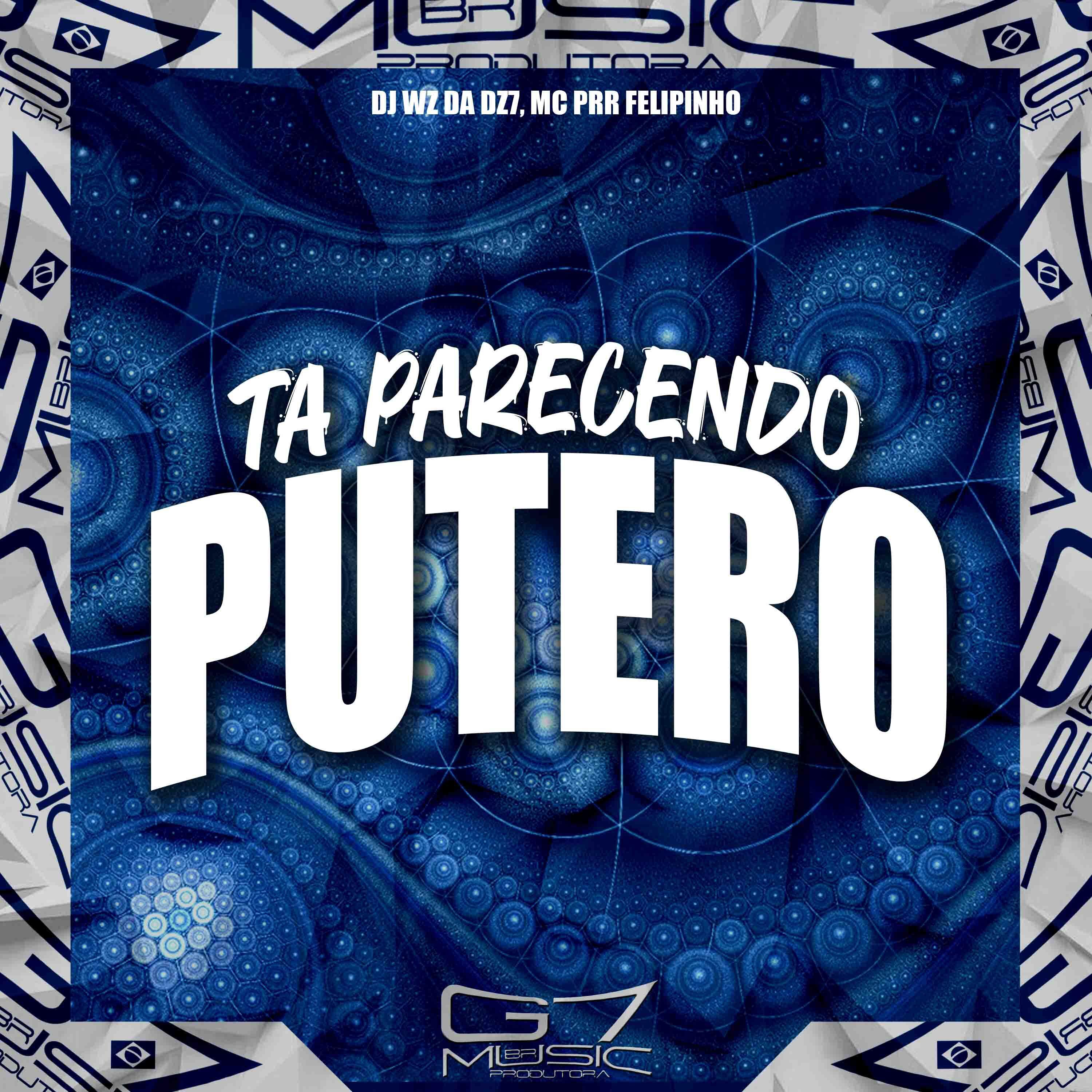 Постер альбома Ta Parecendo Putero