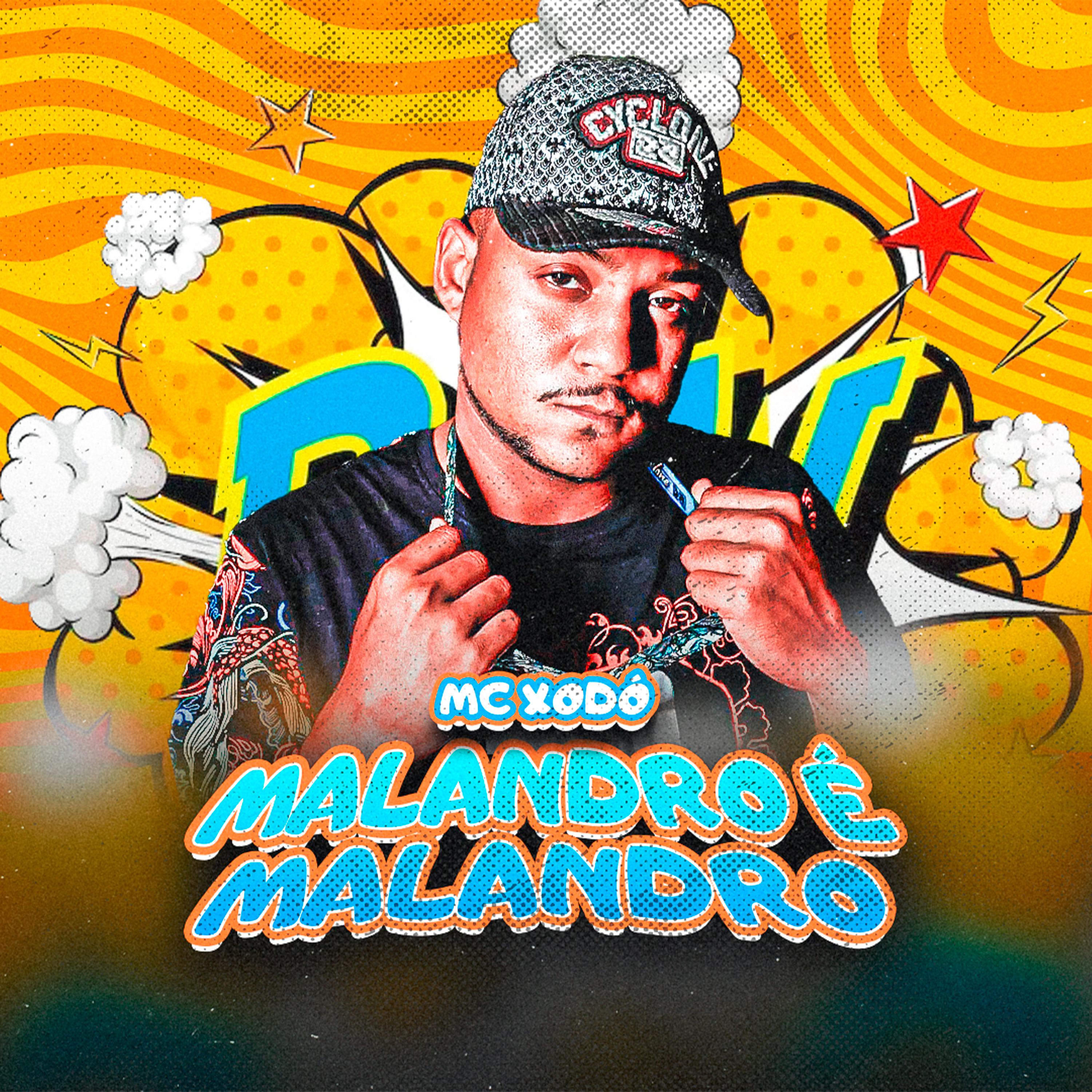 Постер альбома Malandro e Malandro