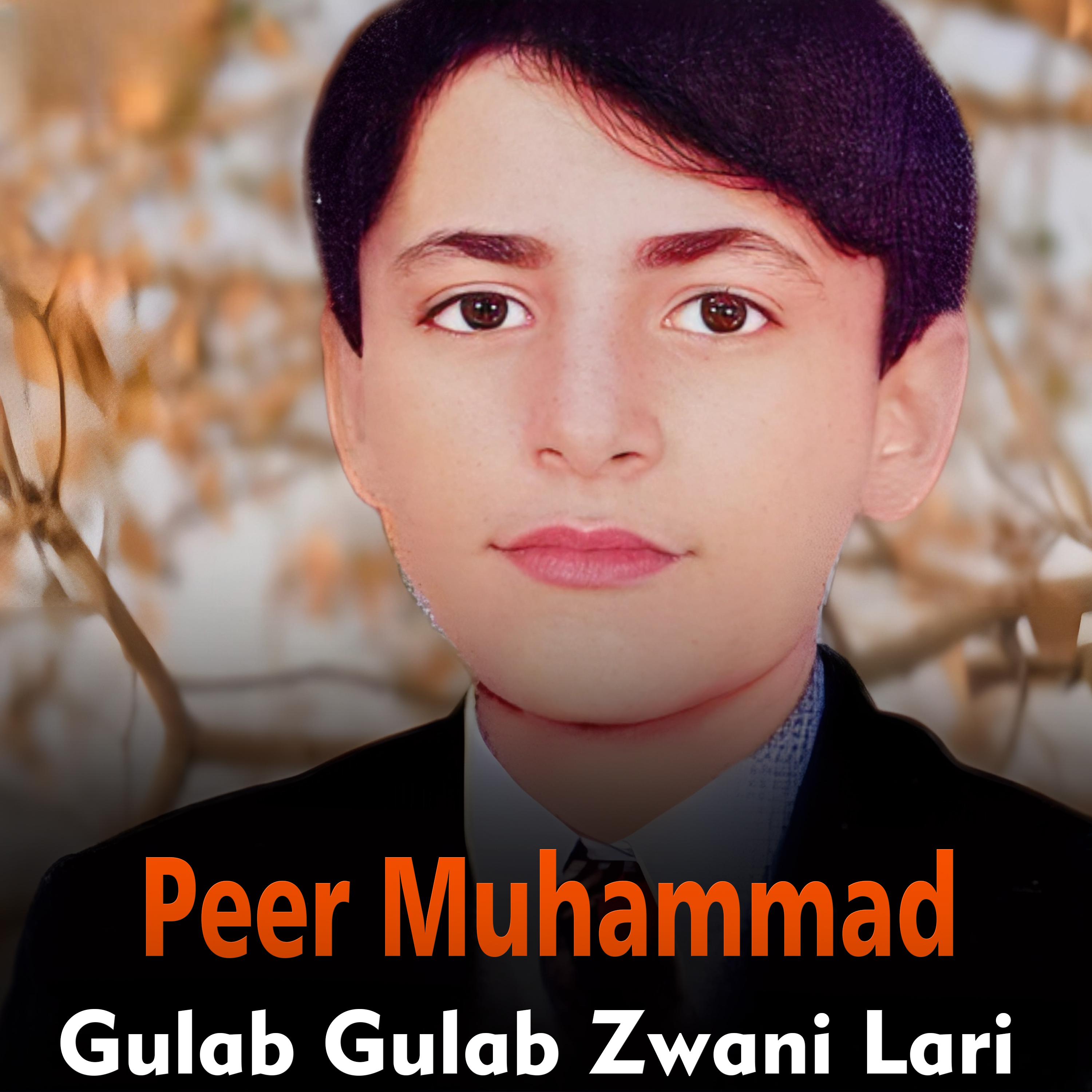 Постер альбома Gulab Gulab Zwani Lari