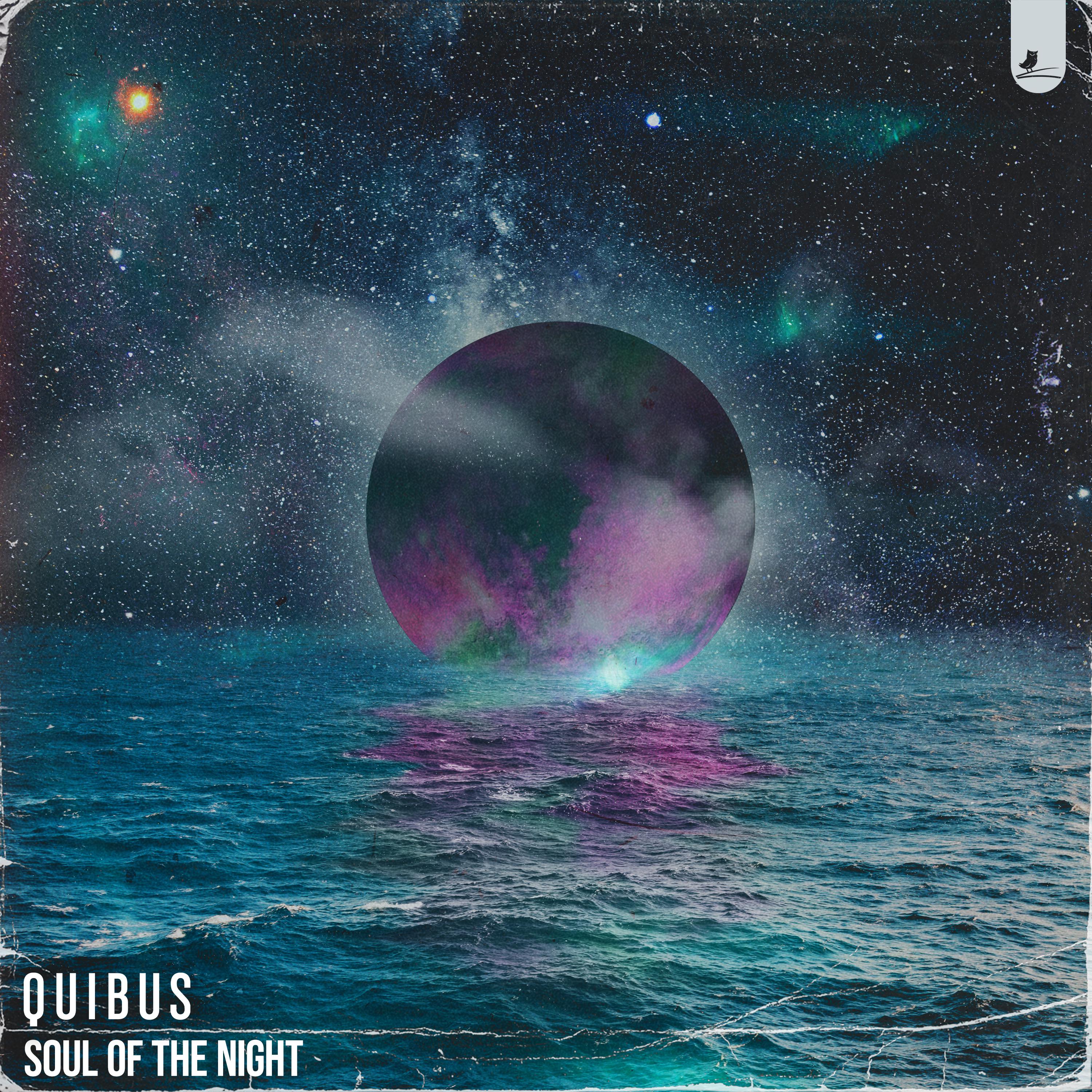 Постер альбома Soul Of The Night