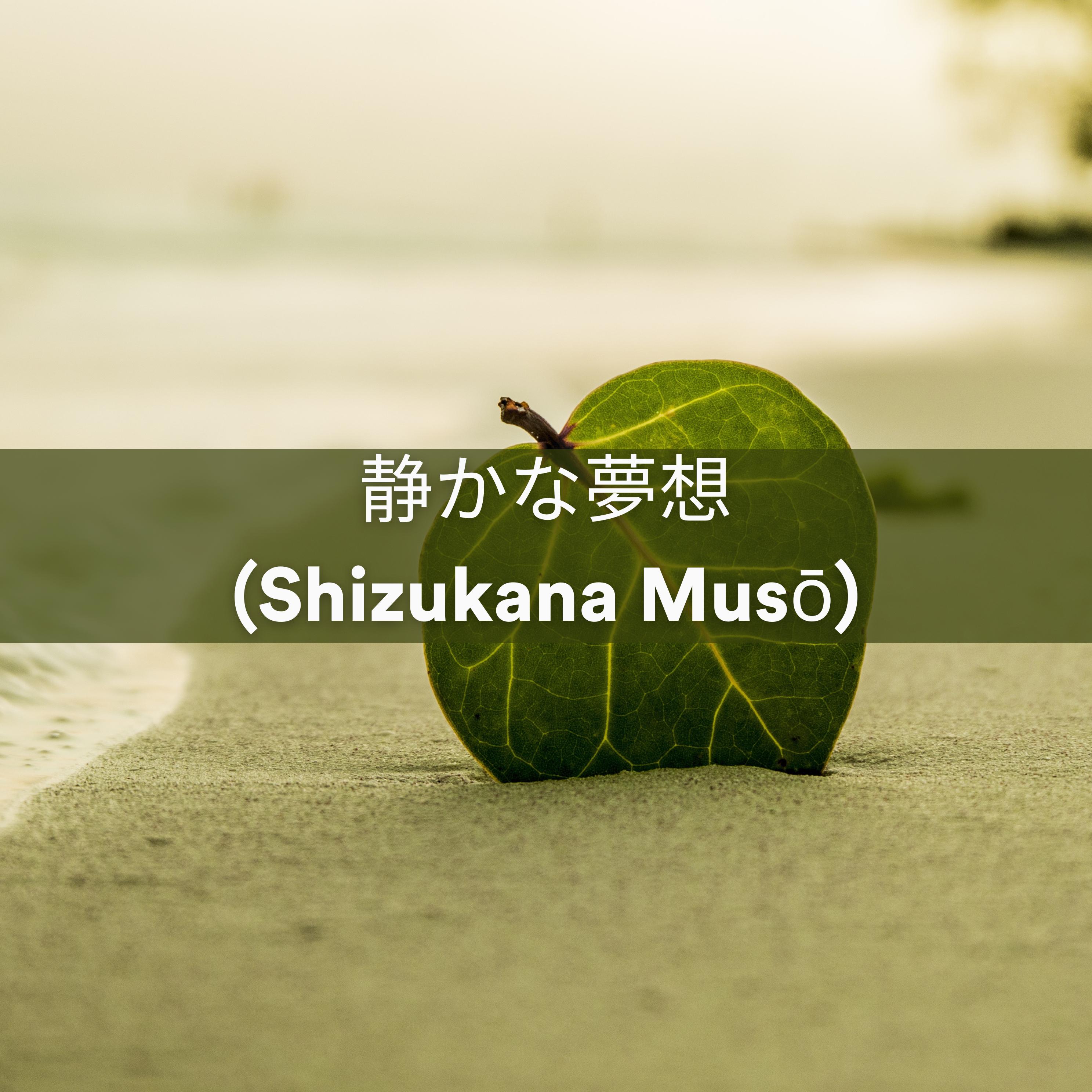 Постер альбома 静かな夢想 (Shizukana Musō)