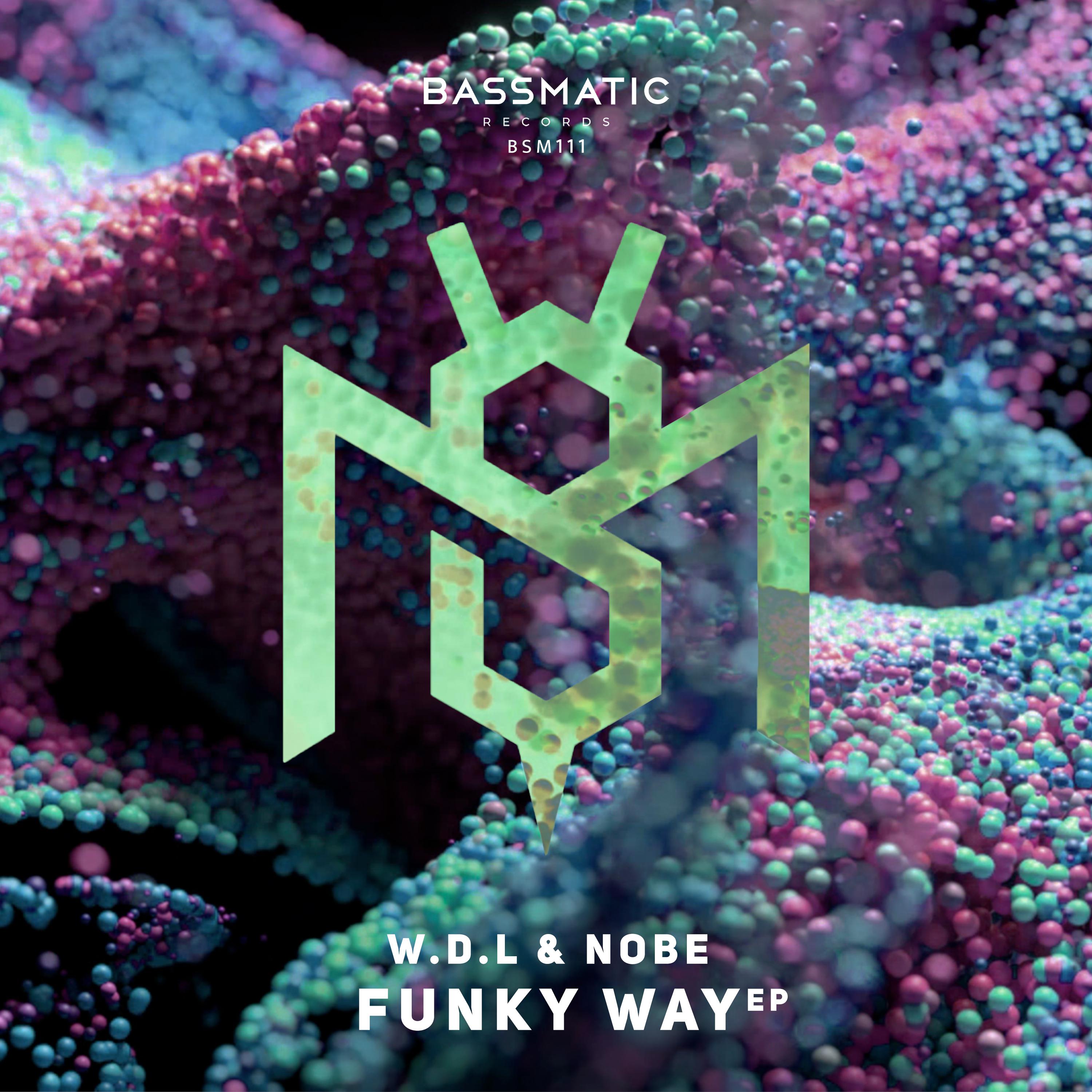 Постер альбома Funky Way