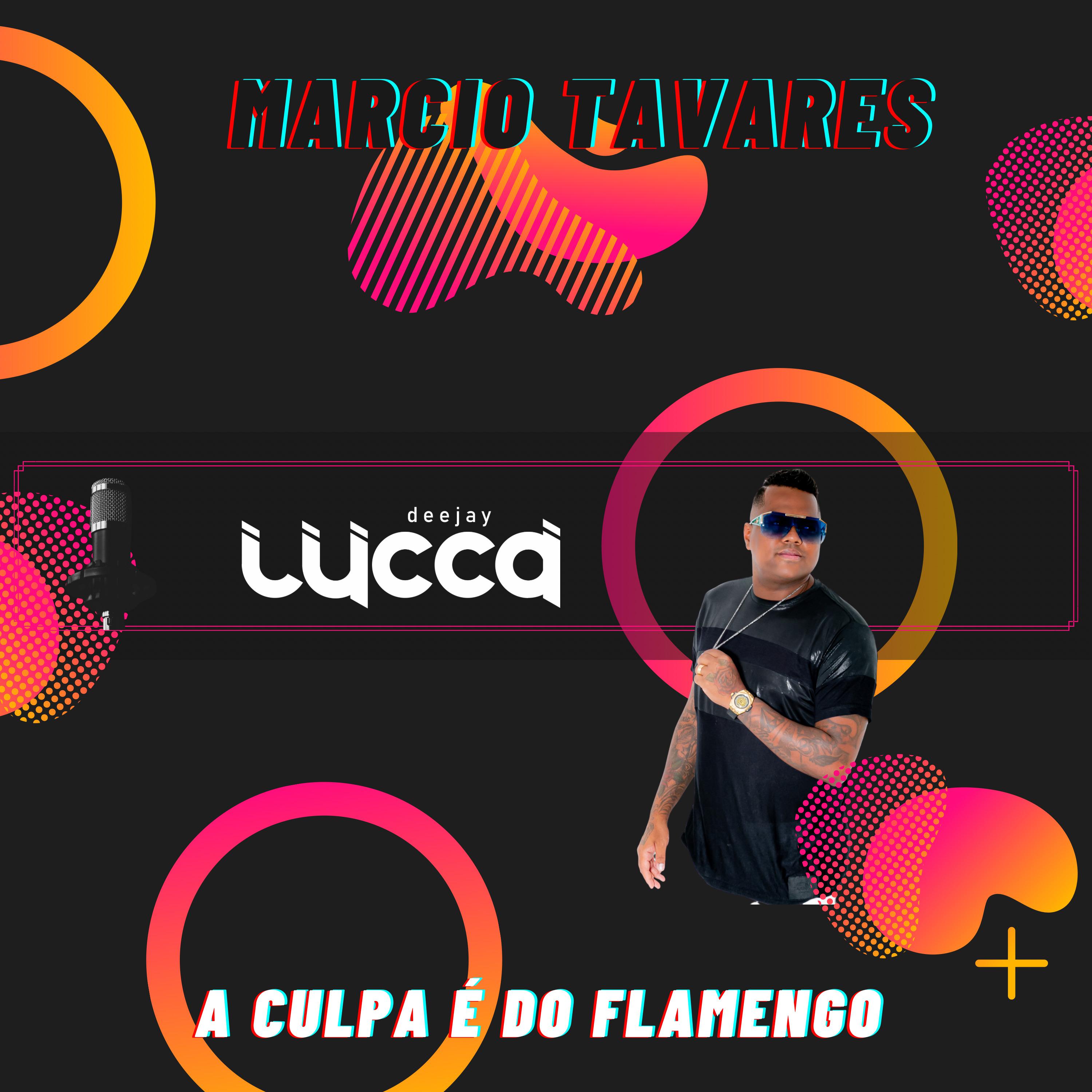 Постер альбома A Culpa  É do Flamengo