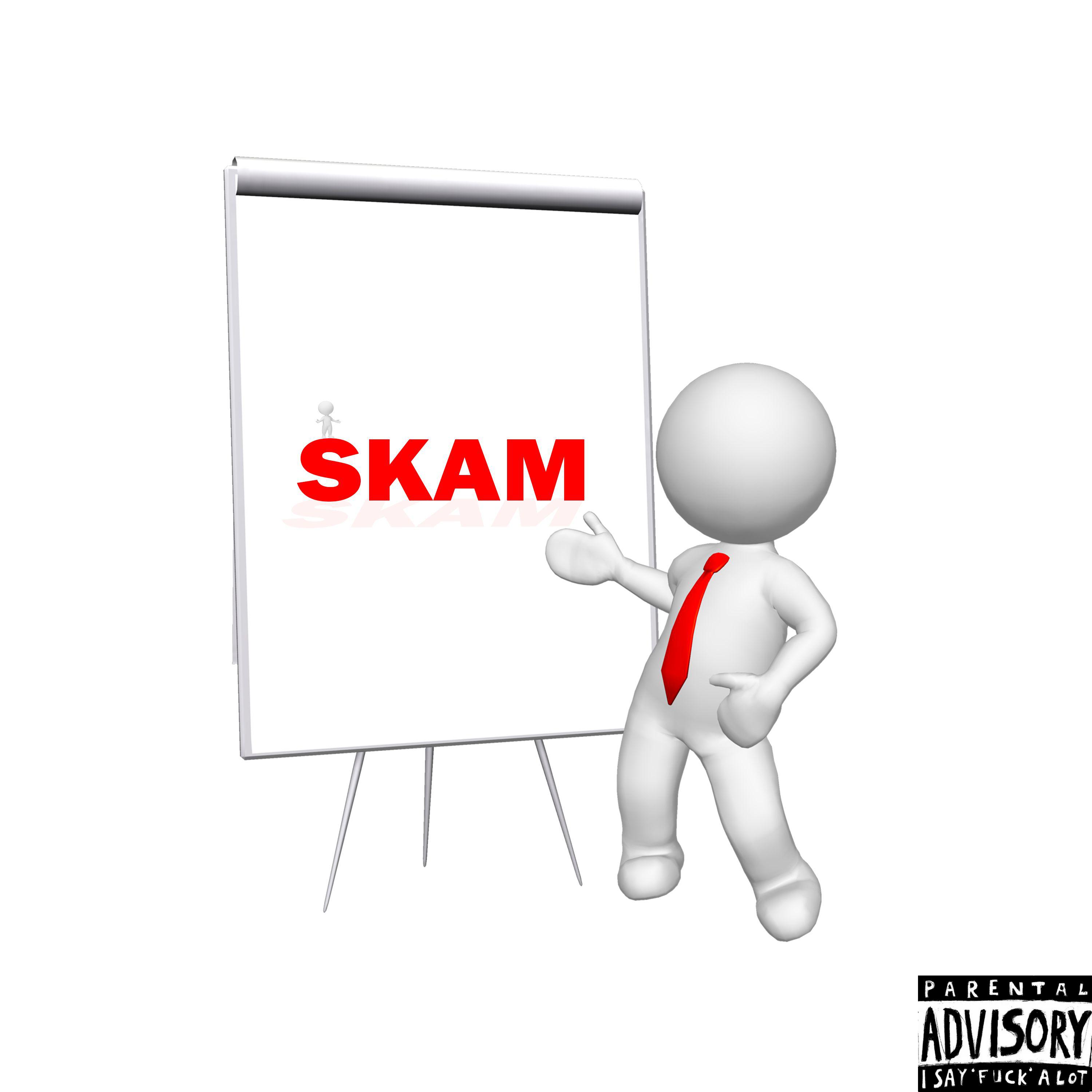 Постер альбома S.K.A.M