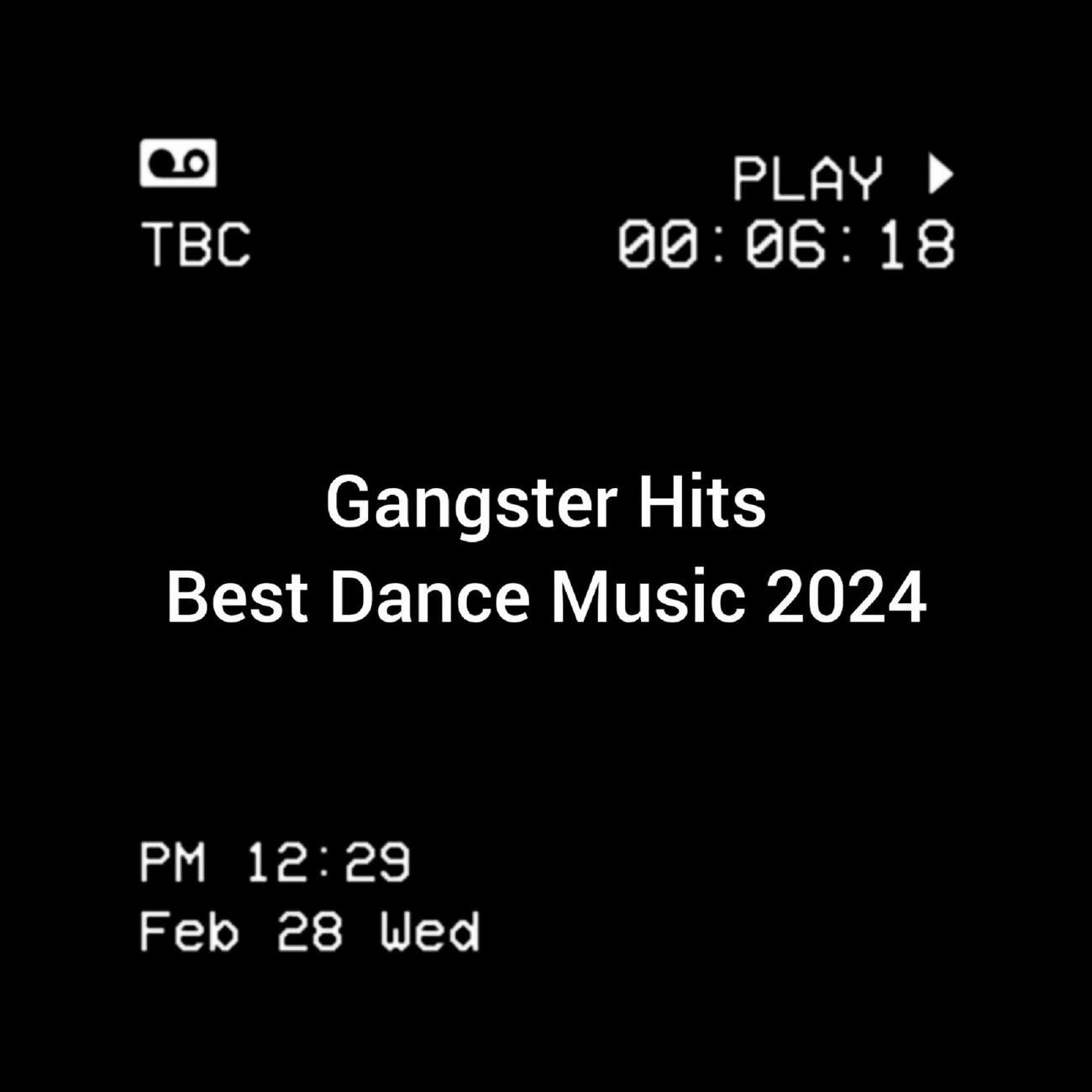 Постер альбома Dance Music 2024