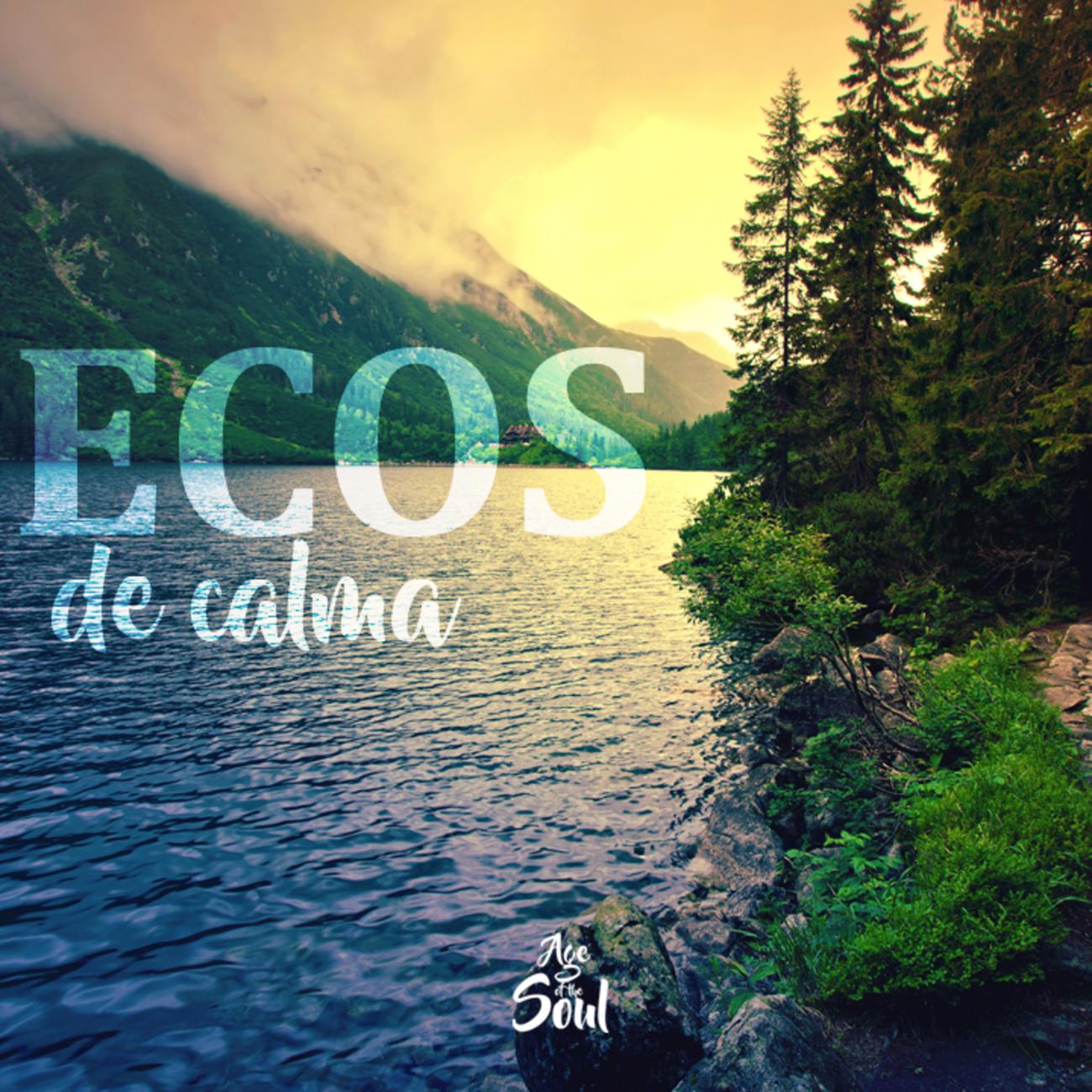 Постер альбома ECOS DE CALMA