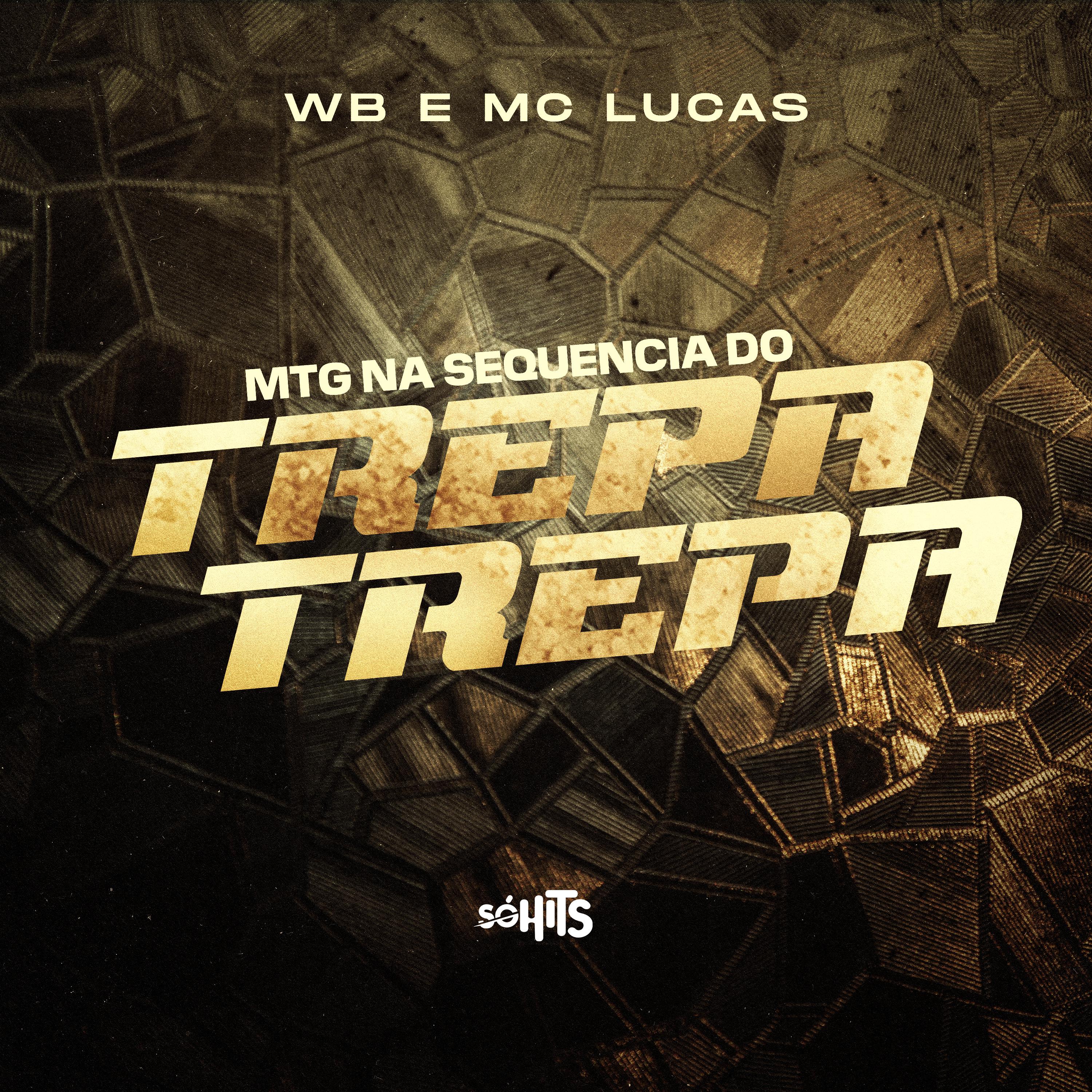 Постер альбома Mtg na Sequência do Trepa Trepa