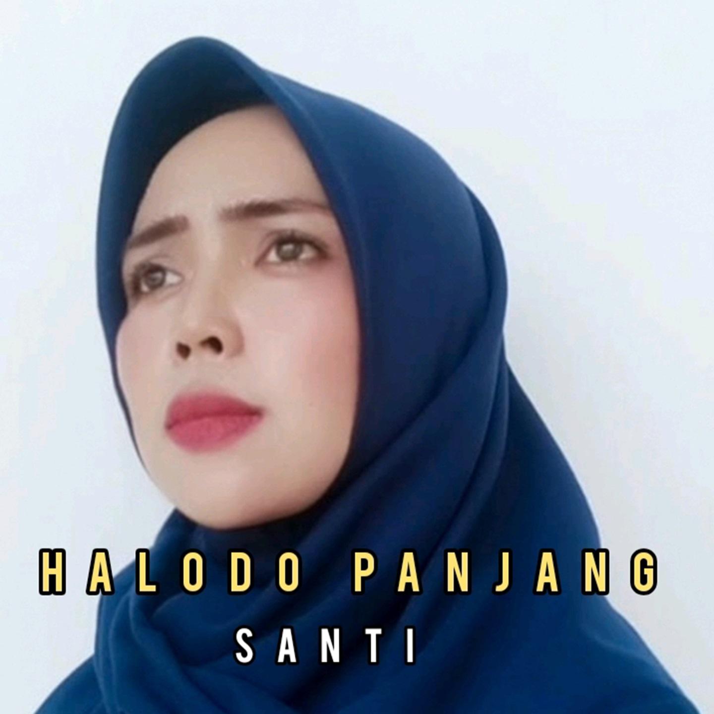 Постер альбома Halodo Panjang