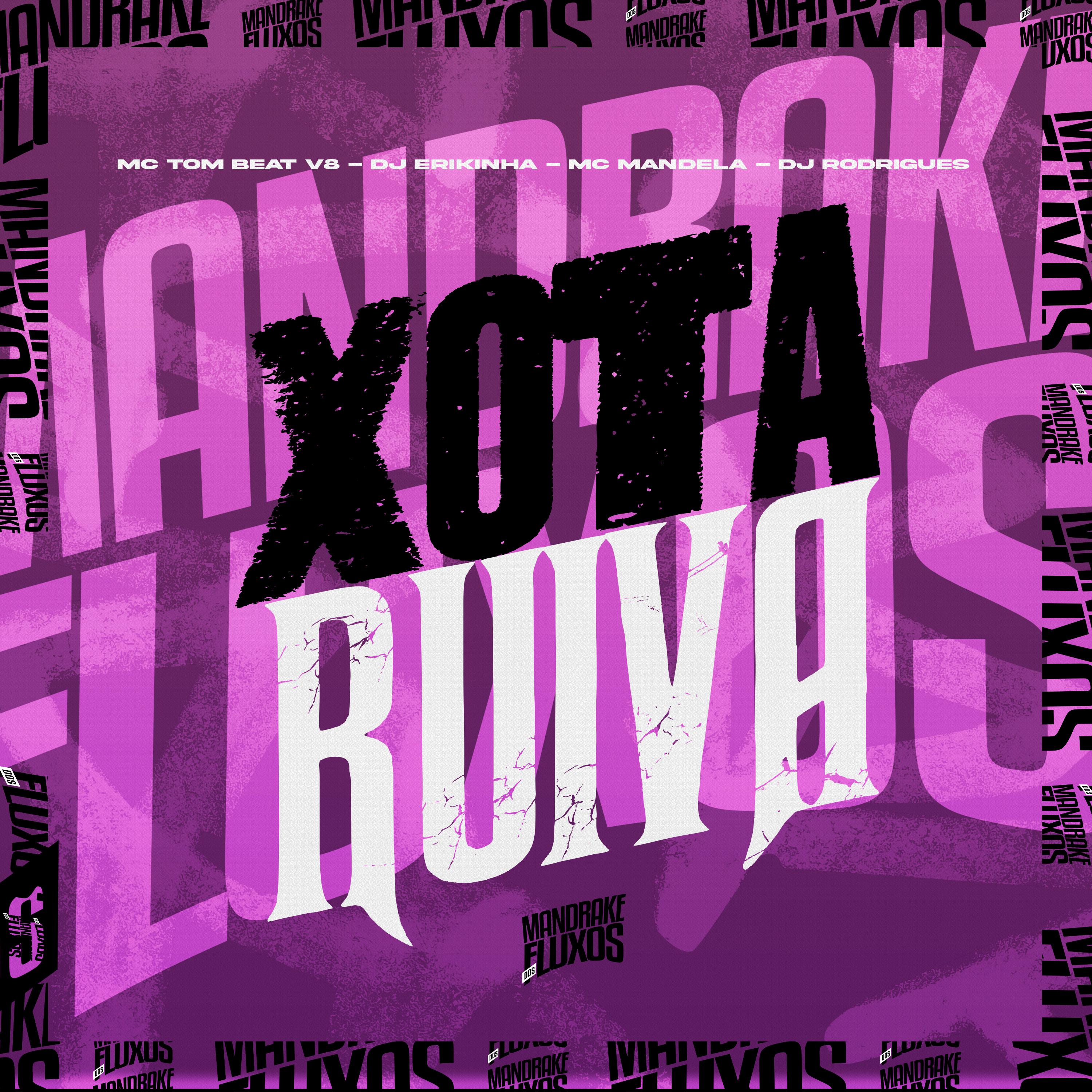 Постер альбома Xota Ruiva