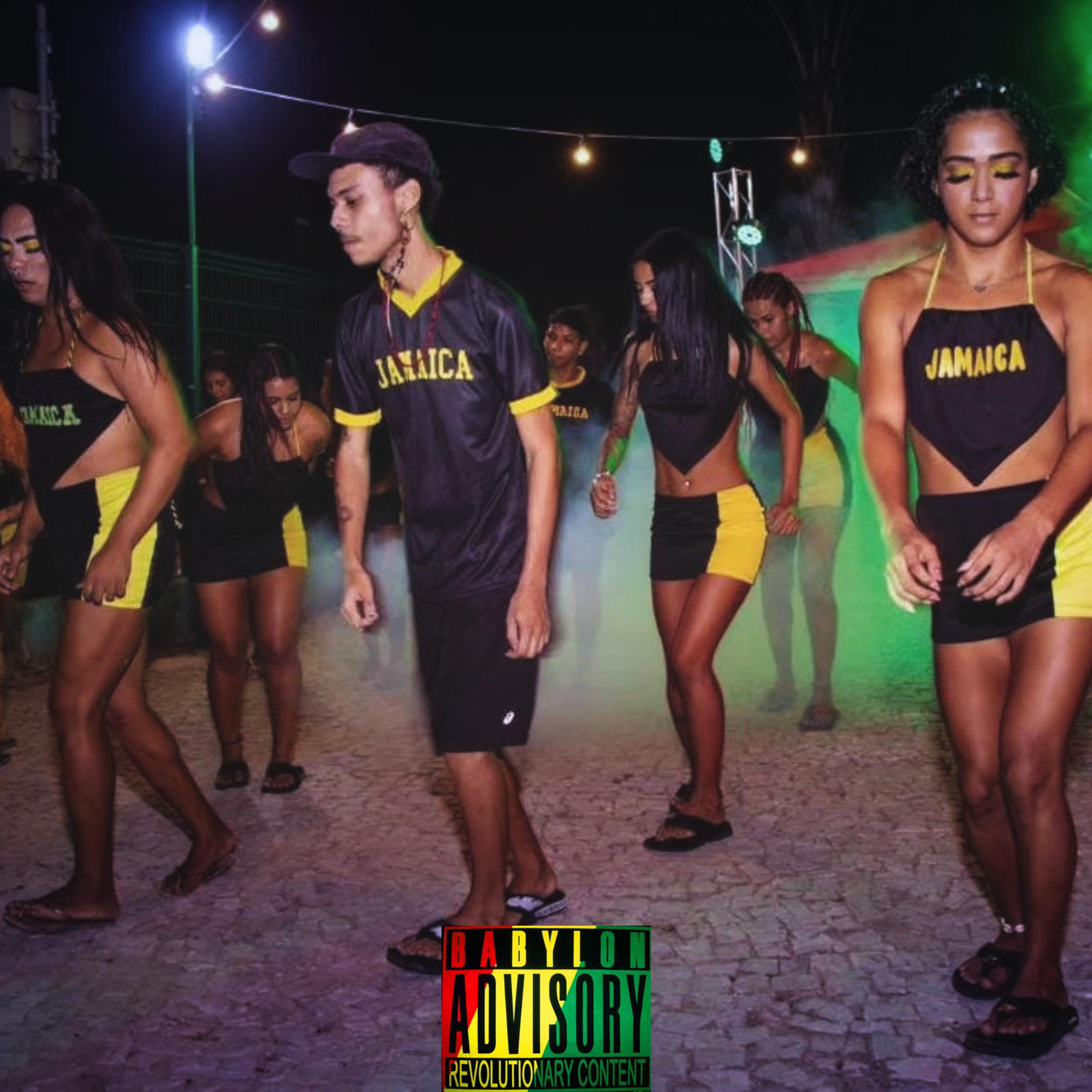 Постер альбома Reggae do Passinho - Tiktok