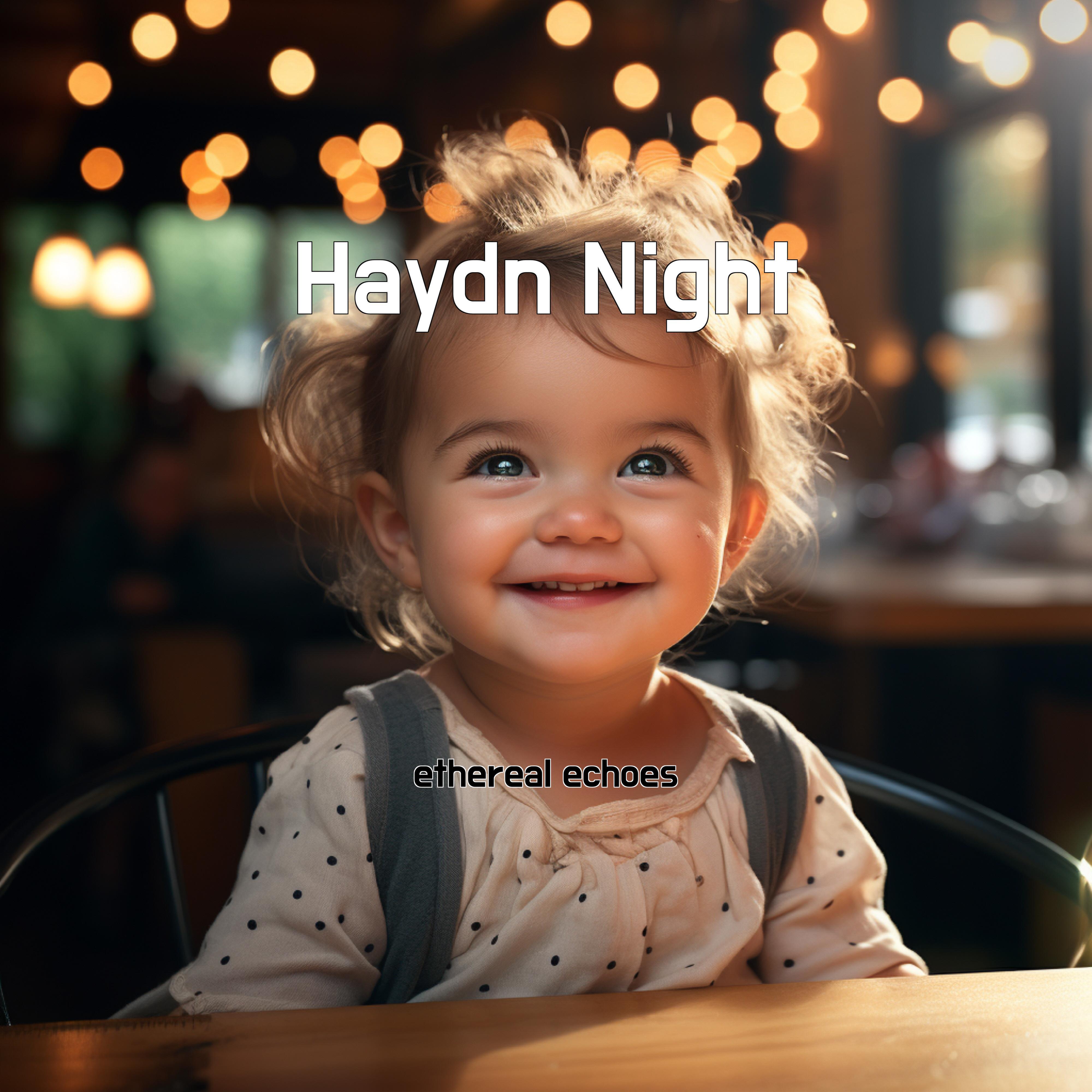 Постер альбома Haydn Night