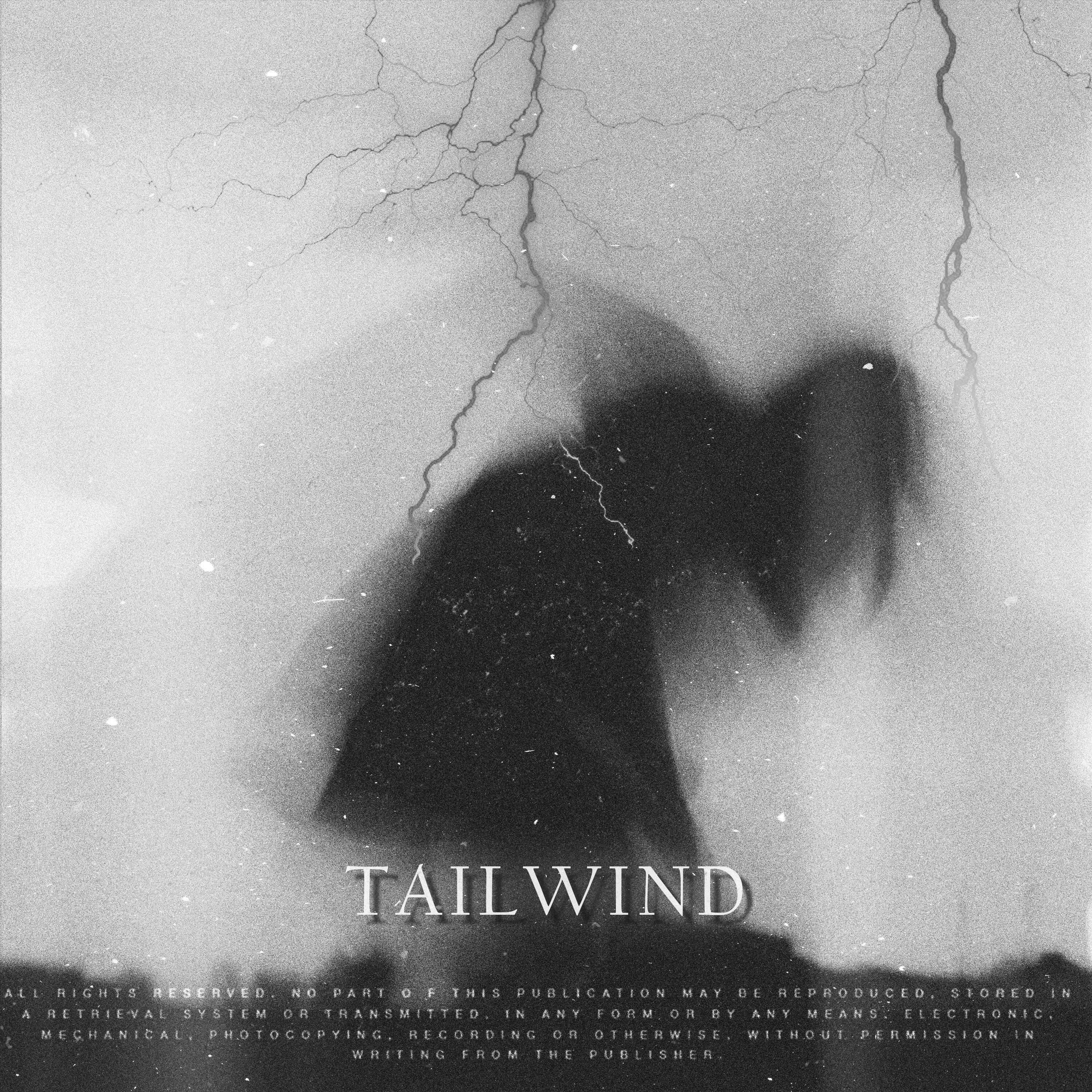 Постер альбома TAILWIND