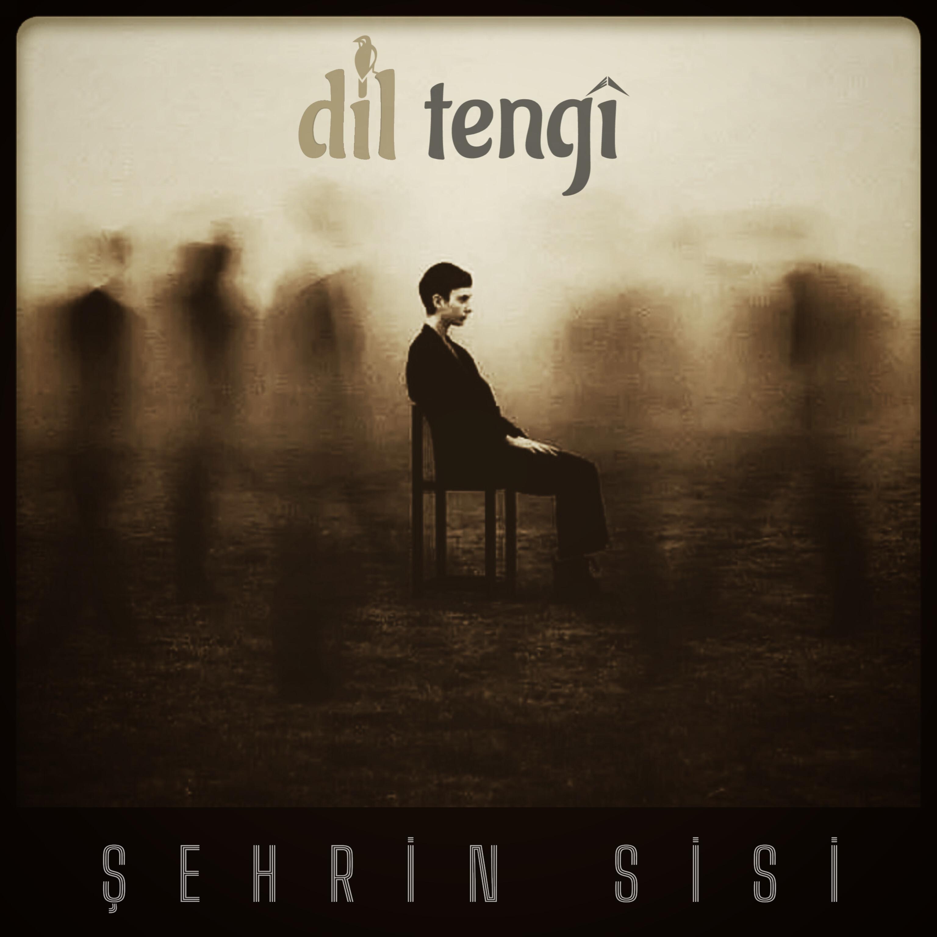 Постер альбома Şehrin Sisi