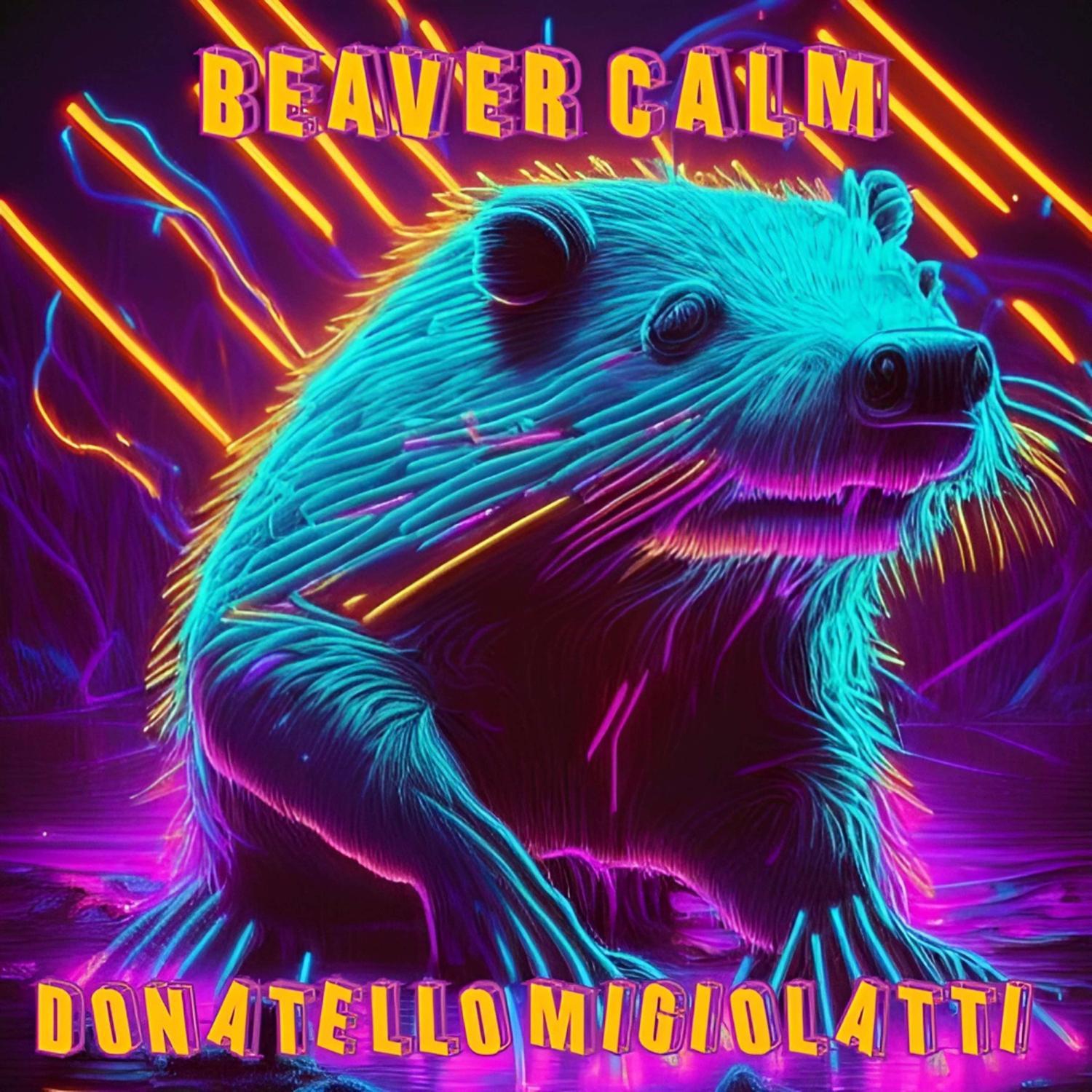 Постер альбома Beaver Calm