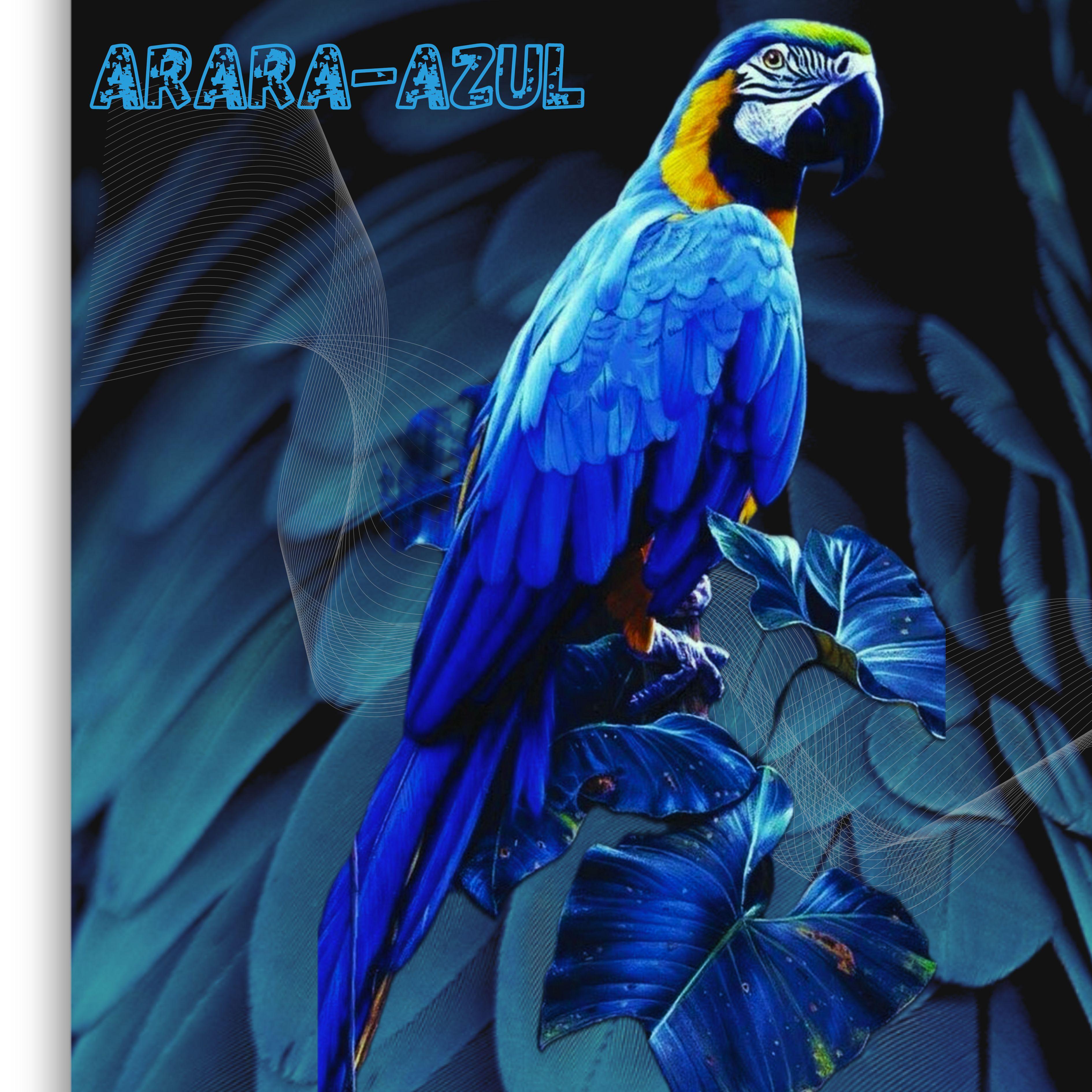Постер альбома Arara-Azul