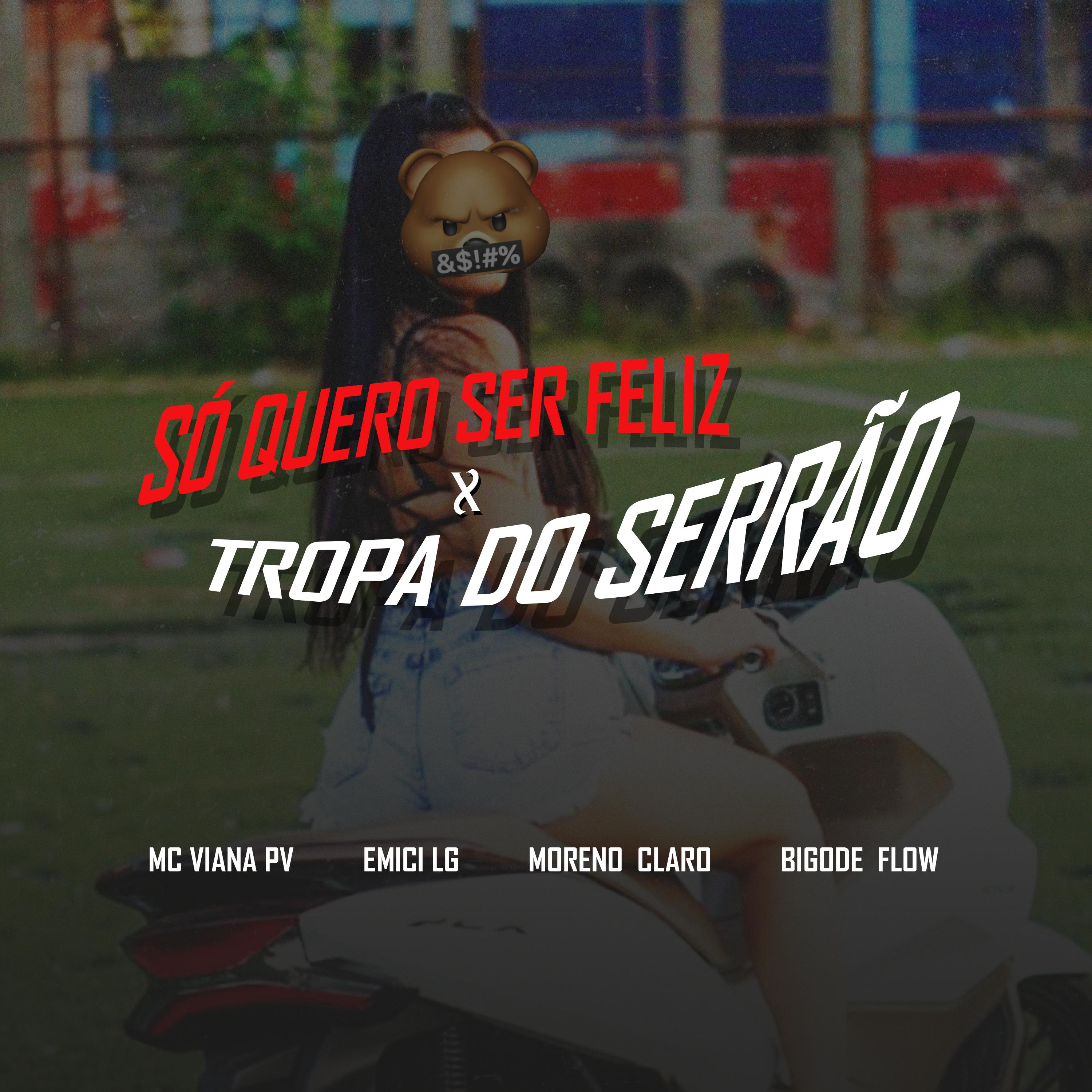 Постер альбома Só Quero Ser Feliz X Tropa do Serrâo