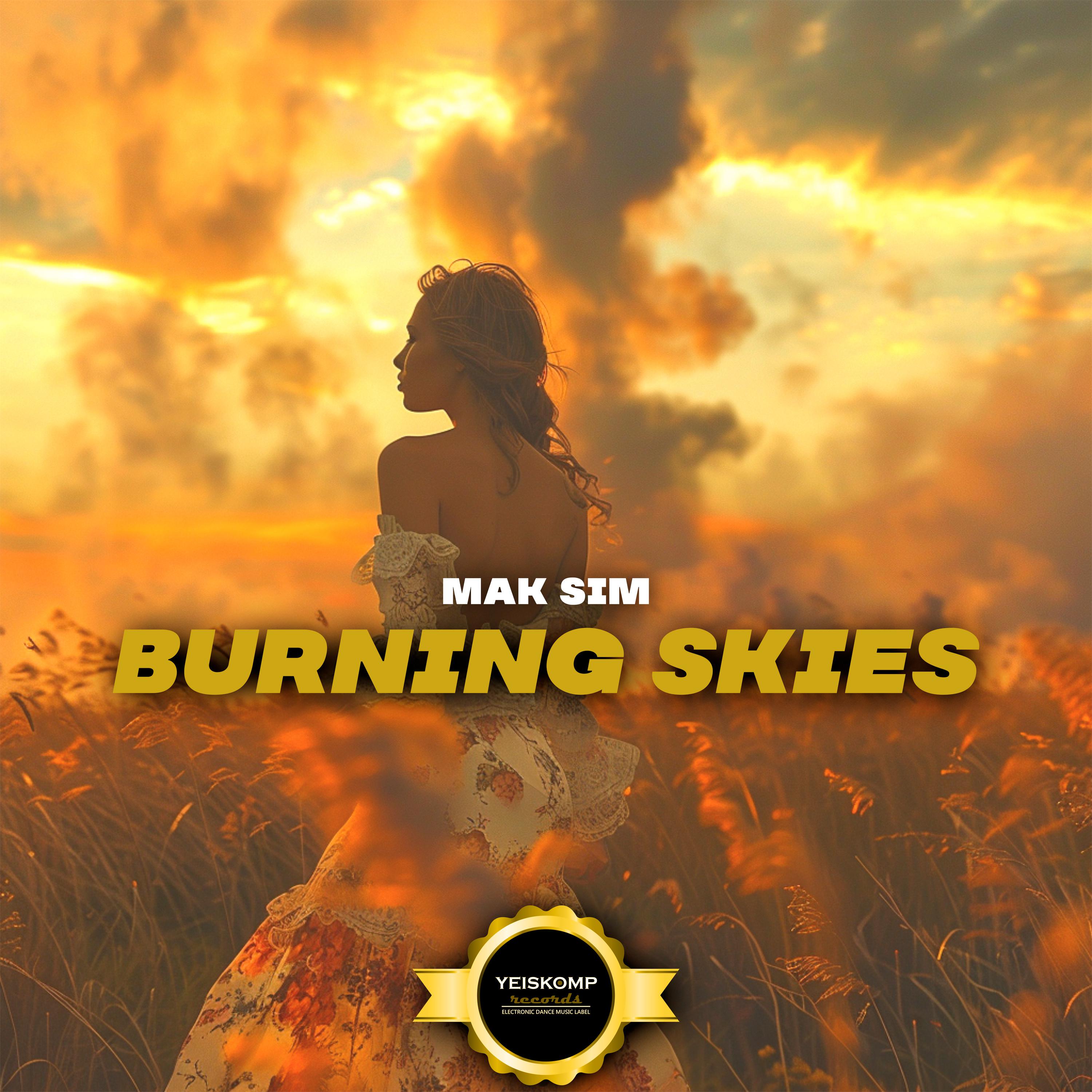 Постер альбома Burning Skies