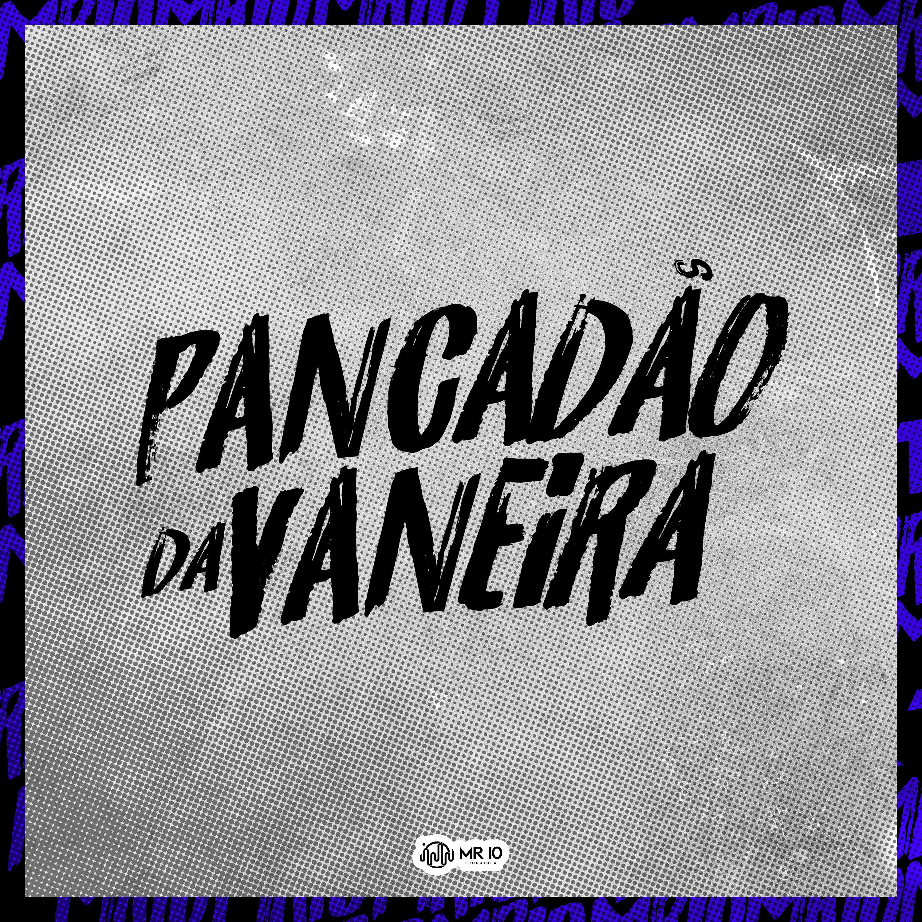 Постер альбома Pancadão da Vaneira