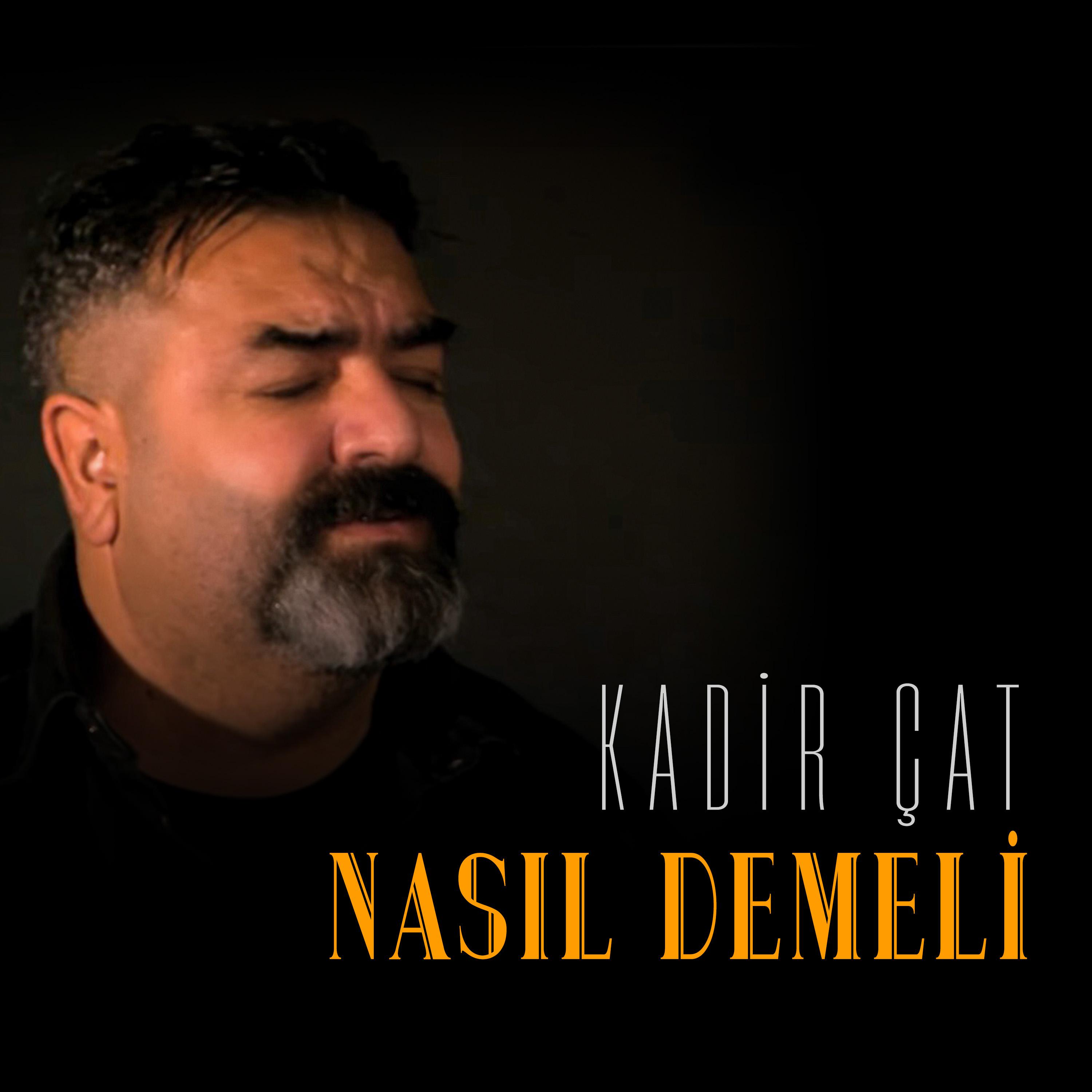 Постер альбома Nasıl Demeli