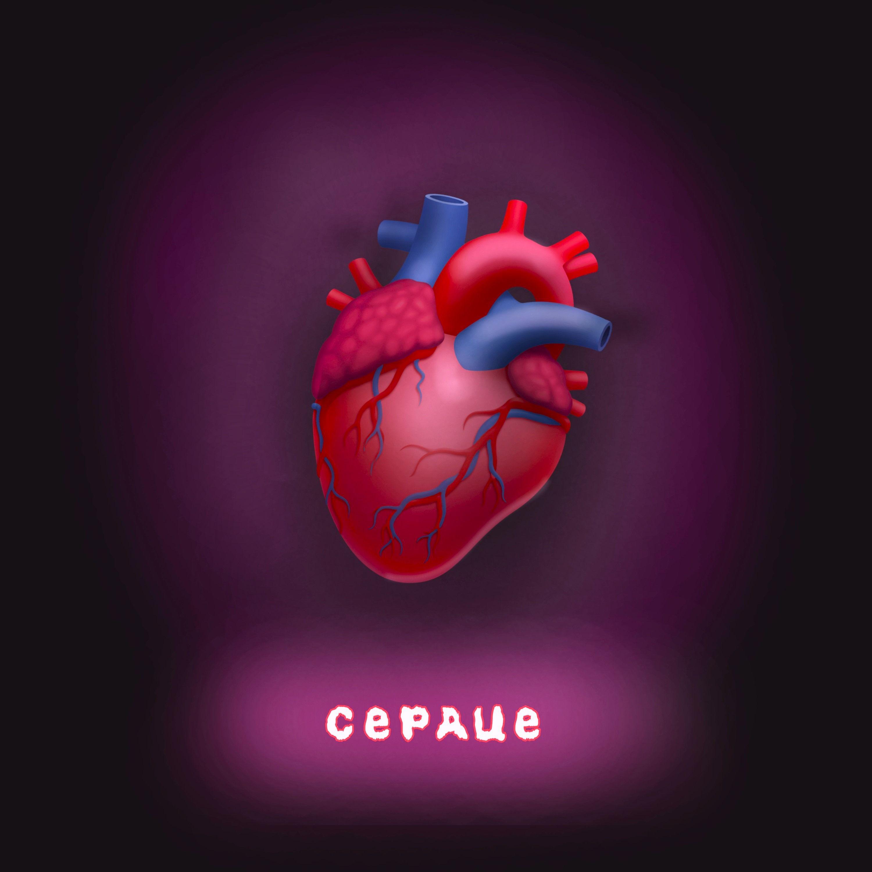 Постер альбома сердце