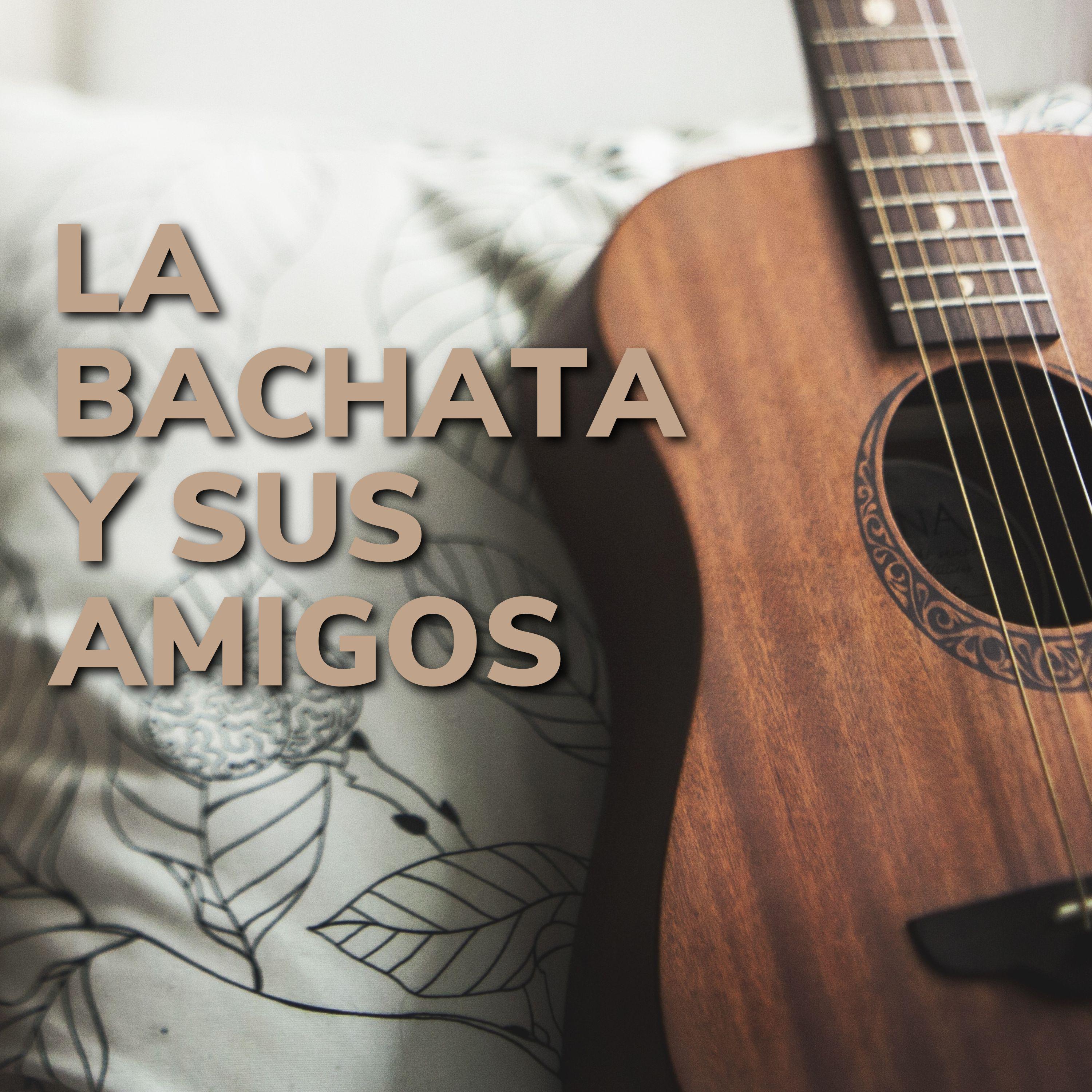 Постер альбома La Bachata y sus amigos